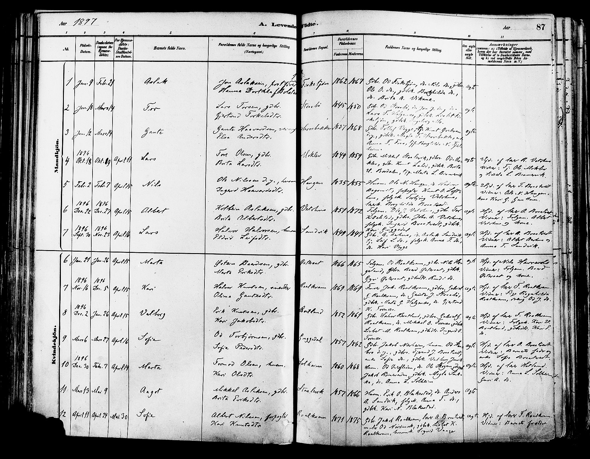 Suldal sokneprestkontor, AV/SAST-A-101845/01/IV/L0011: Parish register (official) no. A 11, 1878-1900, p. 87