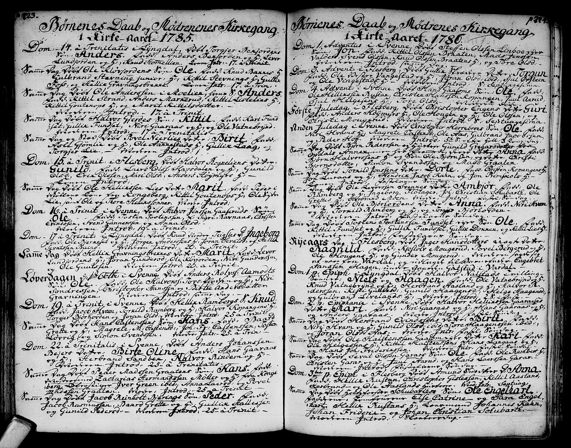 Flesberg kirkebøker, AV/SAKO-A-18/F/Fa/L0003: Parish register (official) no. I 3, 1748-1790, p. 223-224