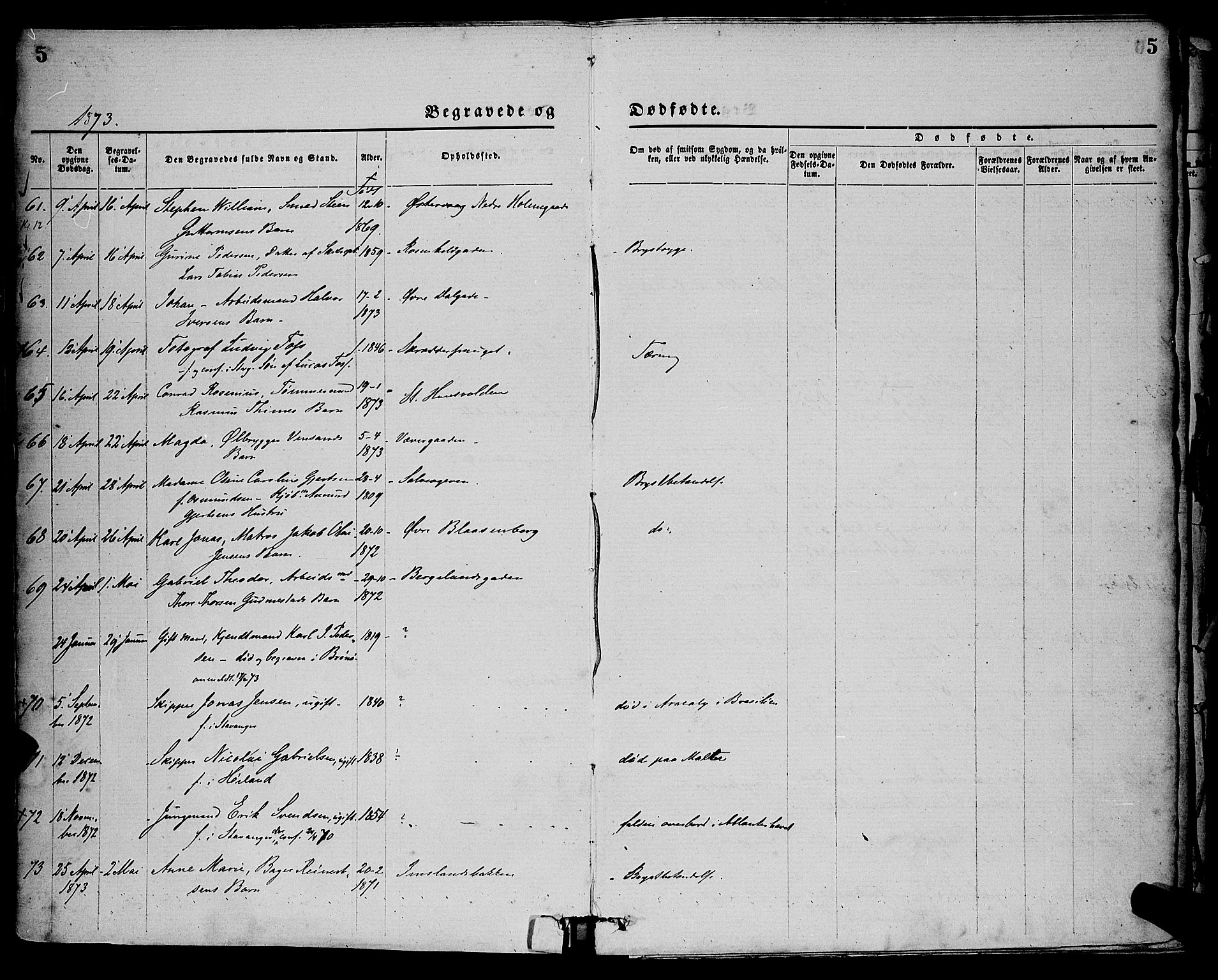 St. Petri sokneprestkontor, SAST/A-101813/001/30/30BA/L0012: Parish register (official) no. A 12, 1873-1878, p. 5