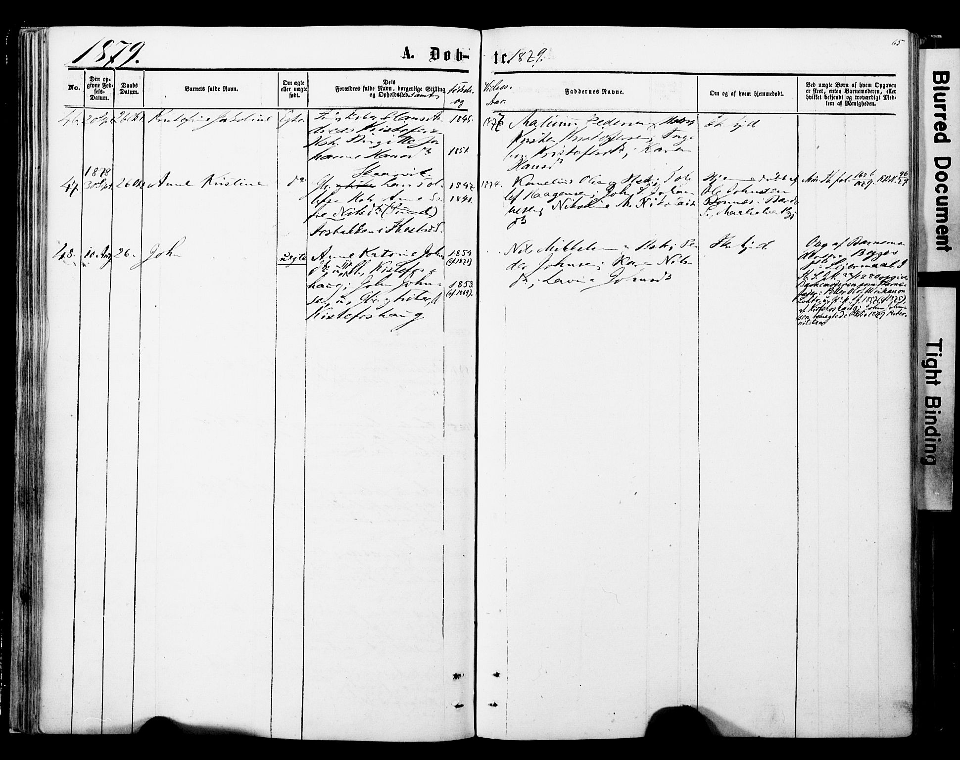 Ibestad sokneprestembete, SATØ/S-0077/H/Ha/Haa/L0013kirke: Parish register (official) no. 13, 1865-1879, p. 65