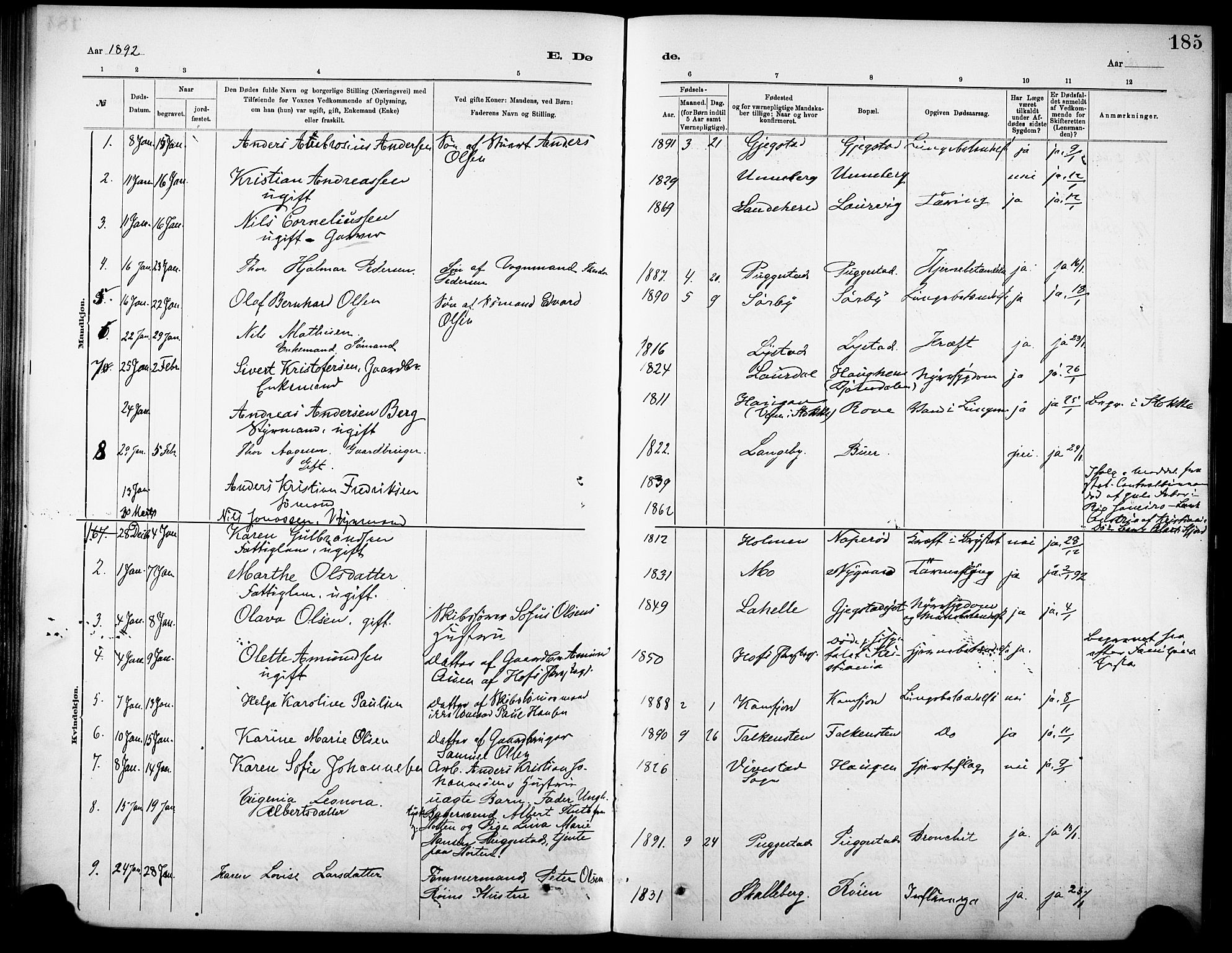 Sandar kirkebøker, SAKO/A-243/F/Fa/L0013: Parish register (official) no. 13, 1883-1895, p. 185