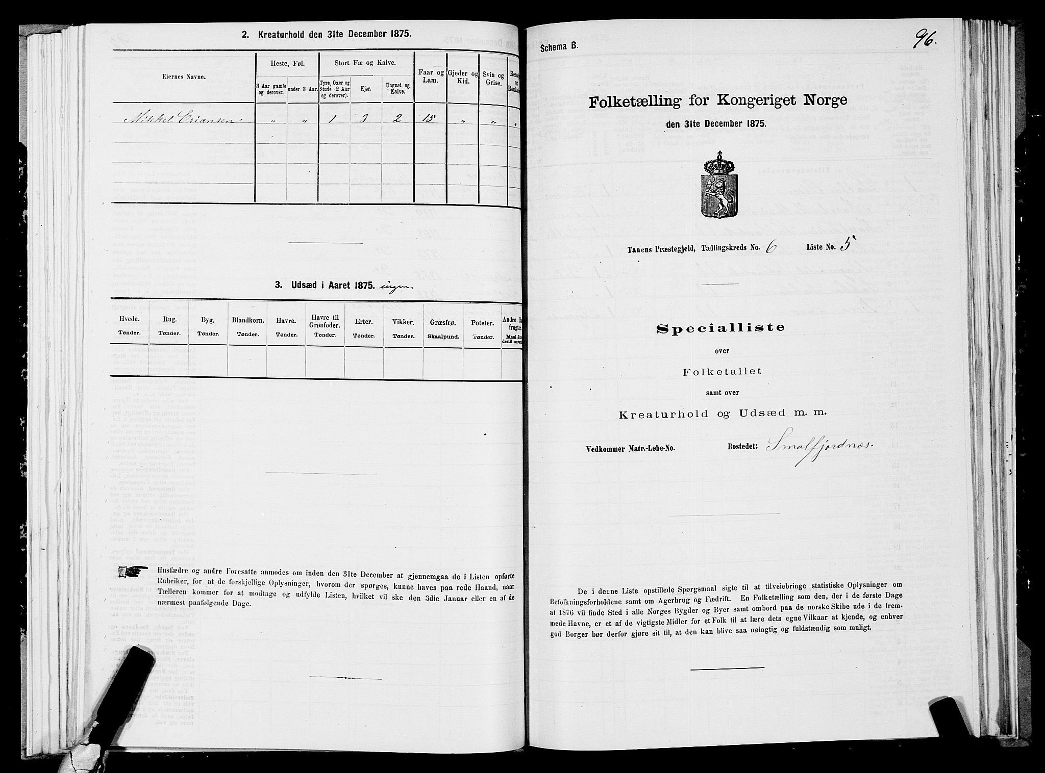 SATØ, 1875 census for 2025P Tana, 1875, p. 2096