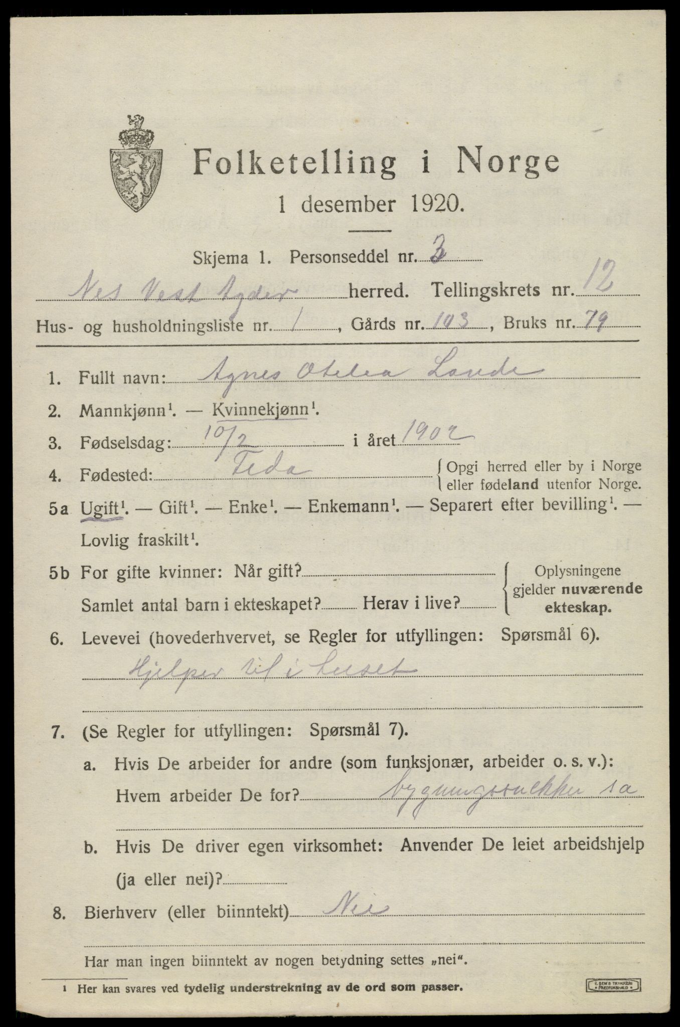 SAK, 1920 census for Nes (V-A), 1920, p. 4238