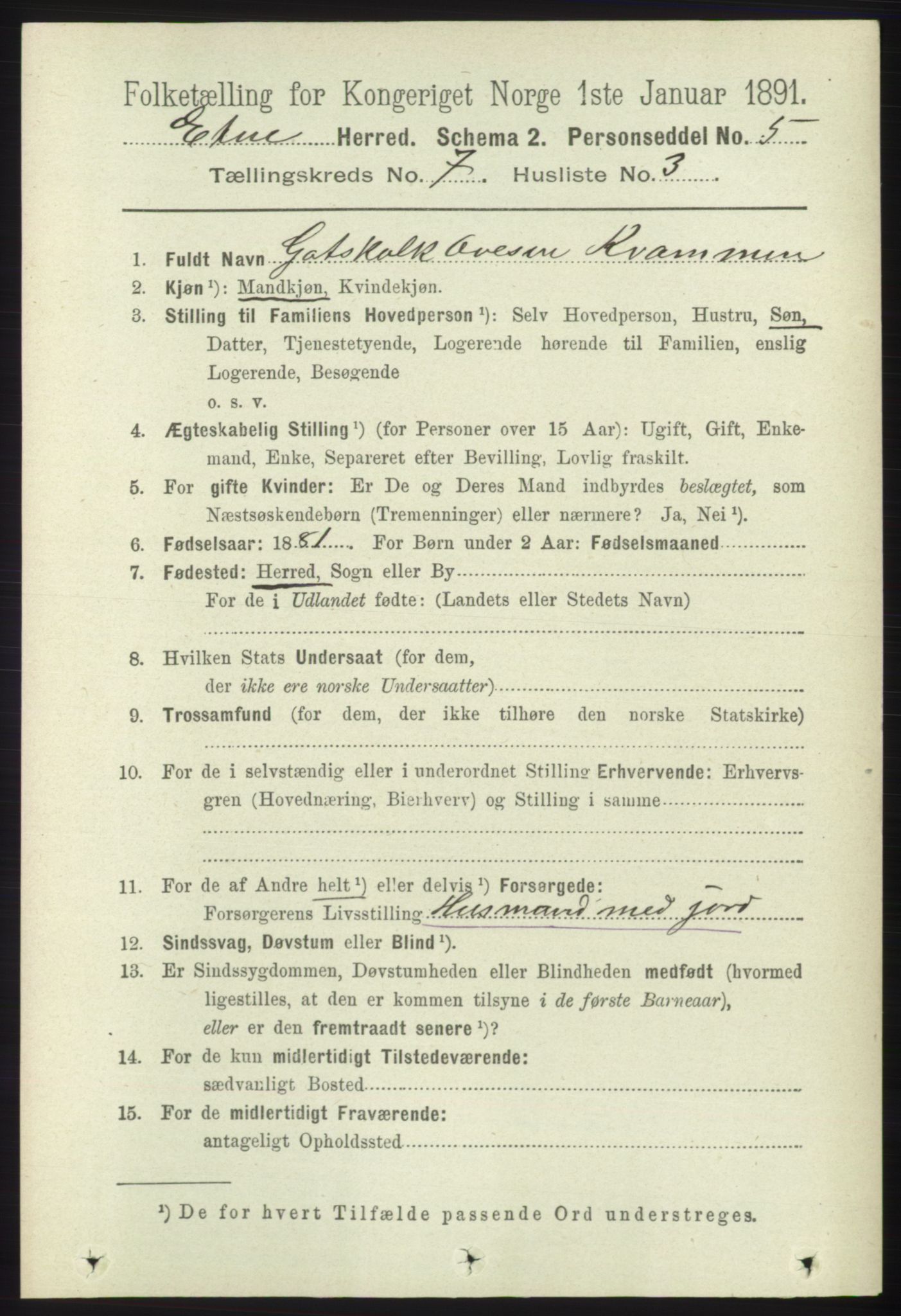 RA, 1891 census for 1211 Etne, 1891, p. 1406