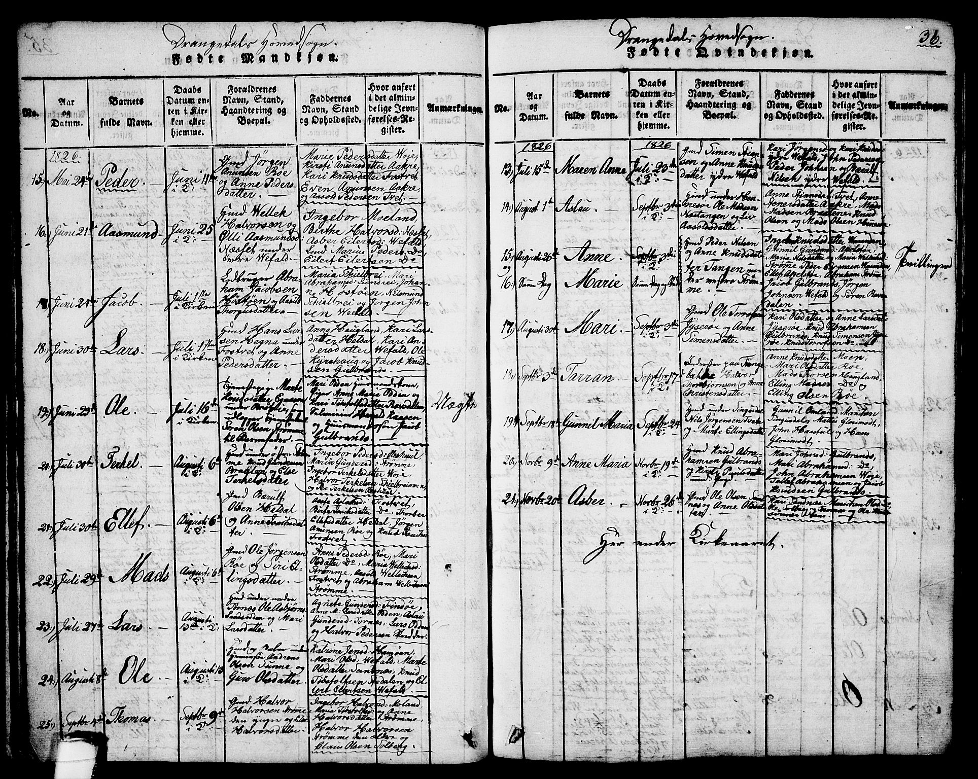 Drangedal kirkebøker, SAKO/A-258/G/Ga/L0001: Parish register (copy) no. I 1 /1, 1814-1856, p. 36