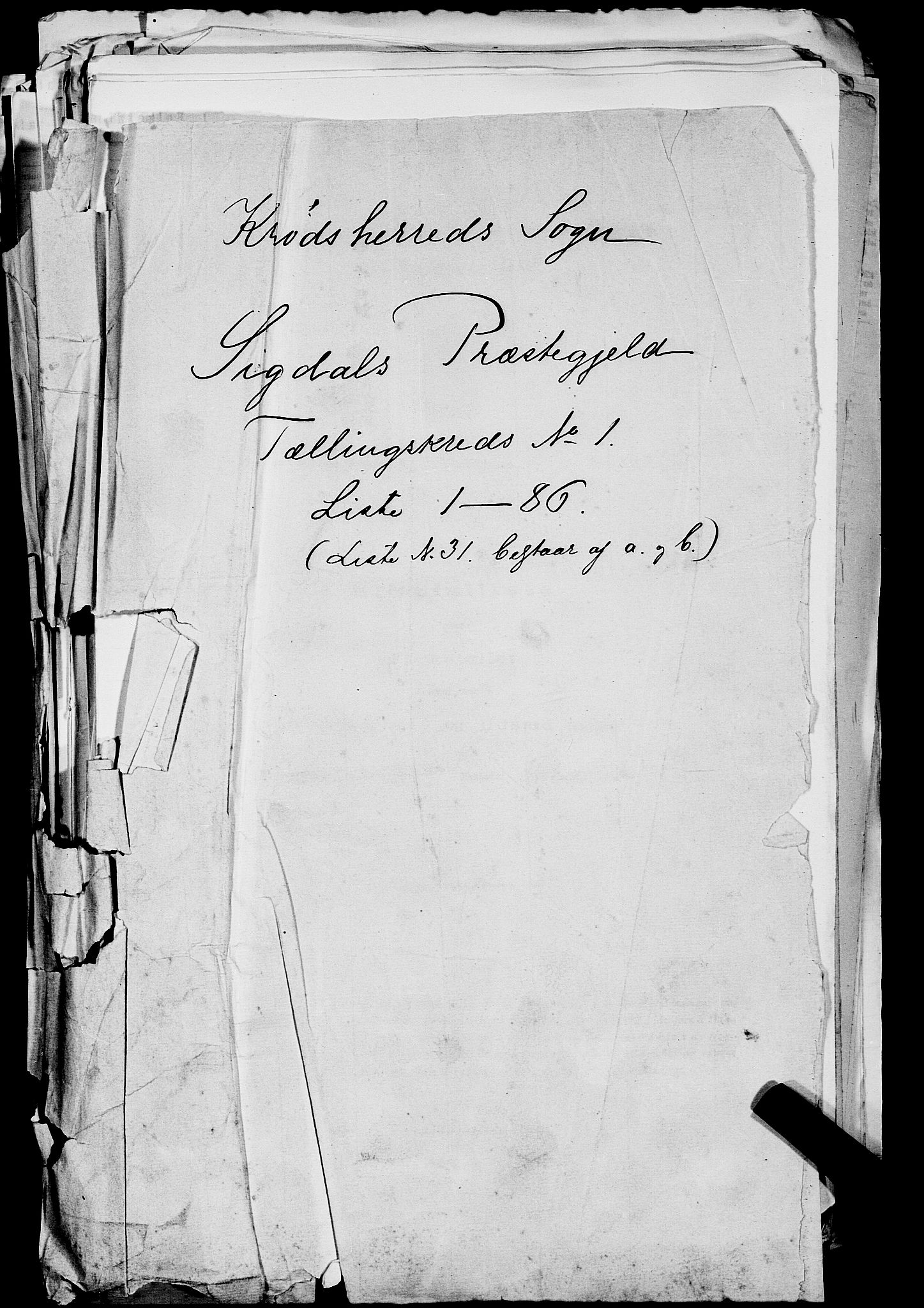 SAKO, 1875 census for 0621P Sigdal, 1875, p. 1159