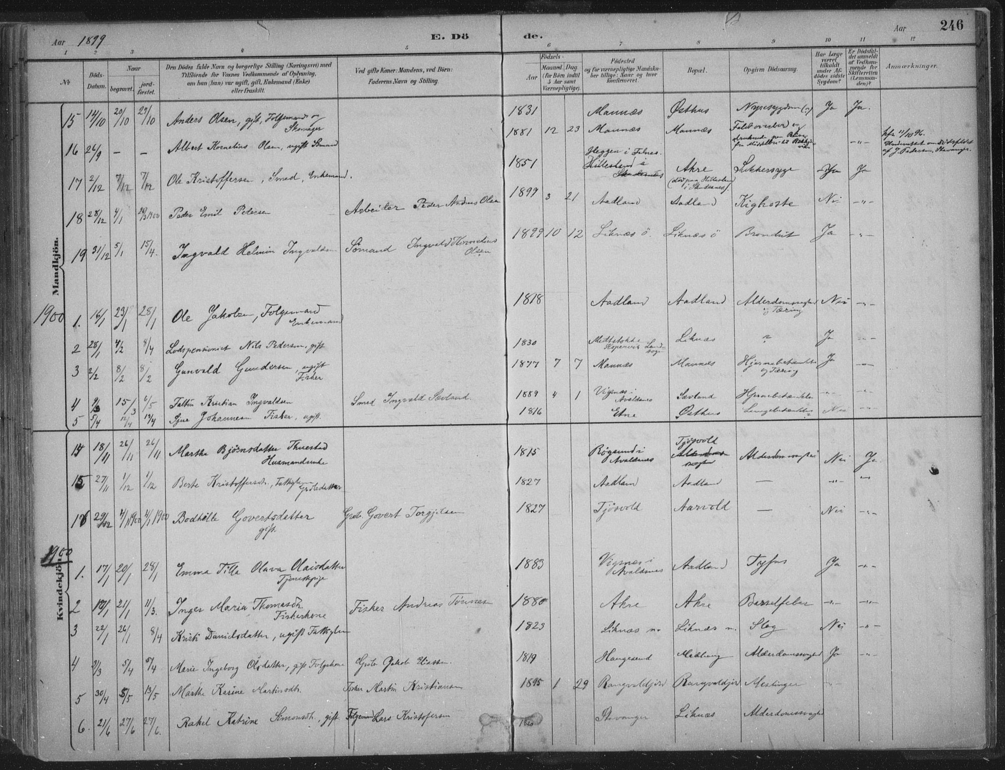Kopervik sokneprestkontor, SAST/A-101850/H/Ha/Haa/L0004: Parish register (official) no. A 4, 1882-1905, p. 246