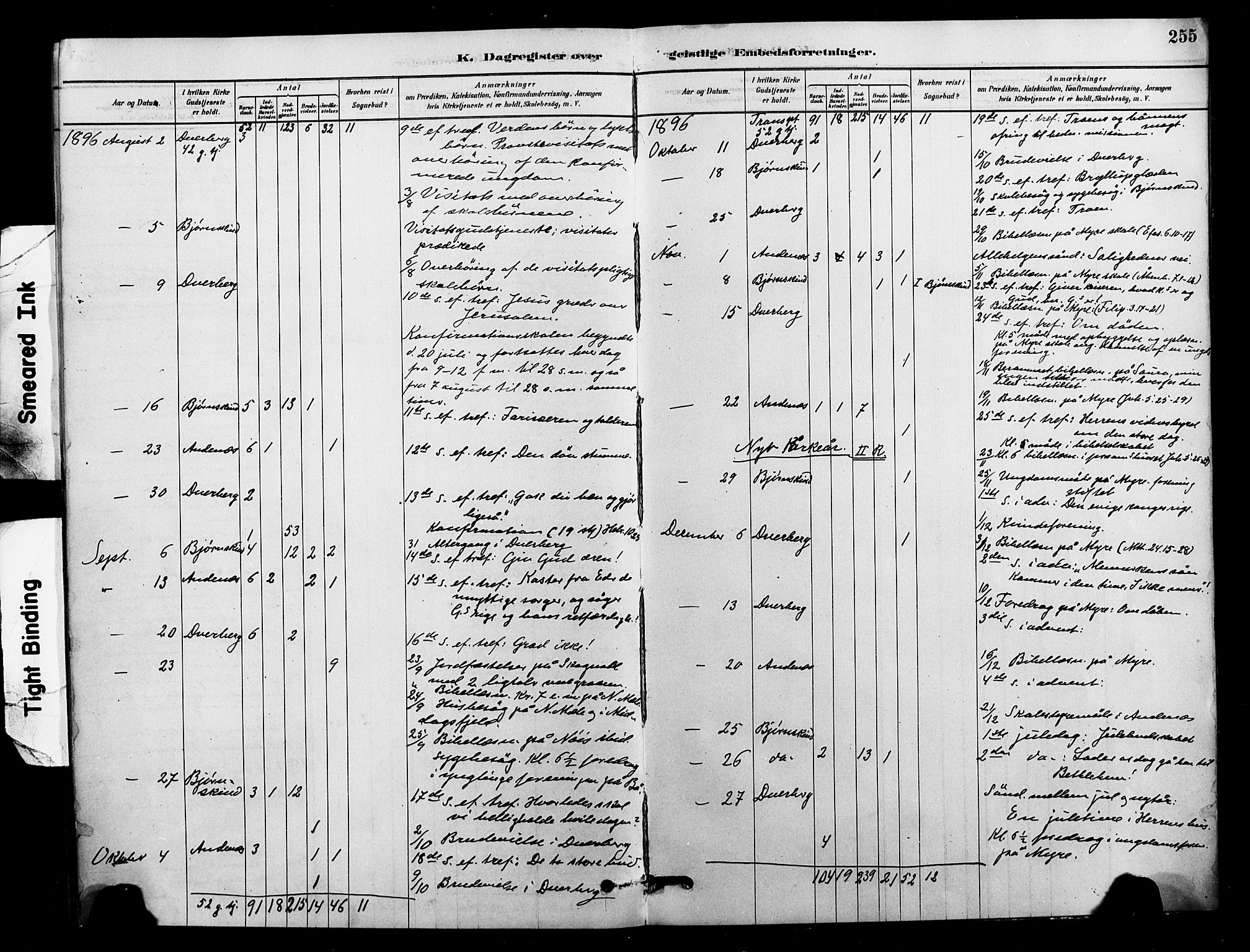 Ministerialprotokoller, klokkerbøker og fødselsregistre - Nordland, AV/SAT-A-1459/897/L1399: Parish register (official) no. 897C06, 1881-1896, p. 255