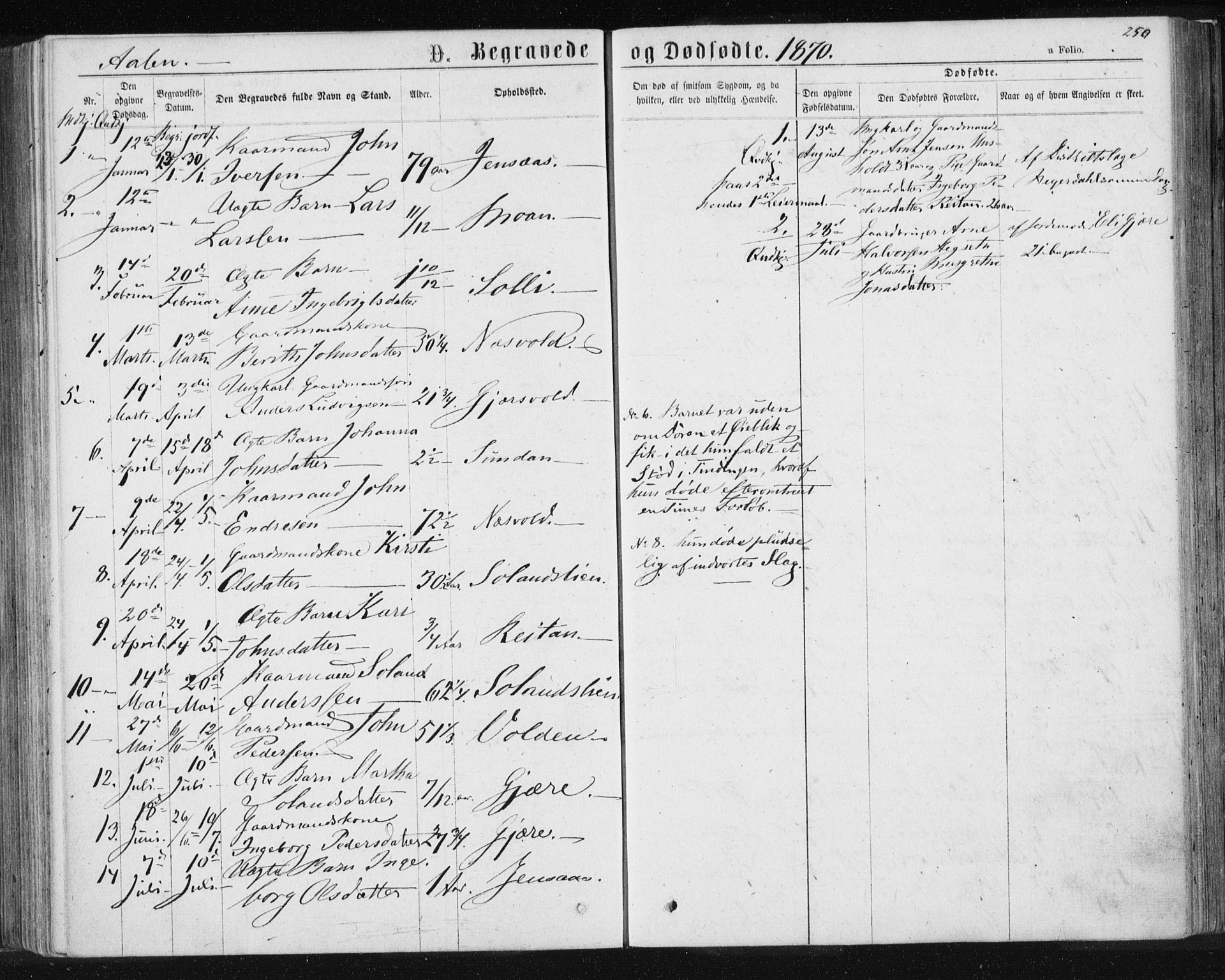 Ministerialprotokoller, klokkerbøker og fødselsregistre - Sør-Trøndelag, SAT/A-1456/685/L0971: Parish register (official) no. 685A08 /3, 1870-1879, p. 250