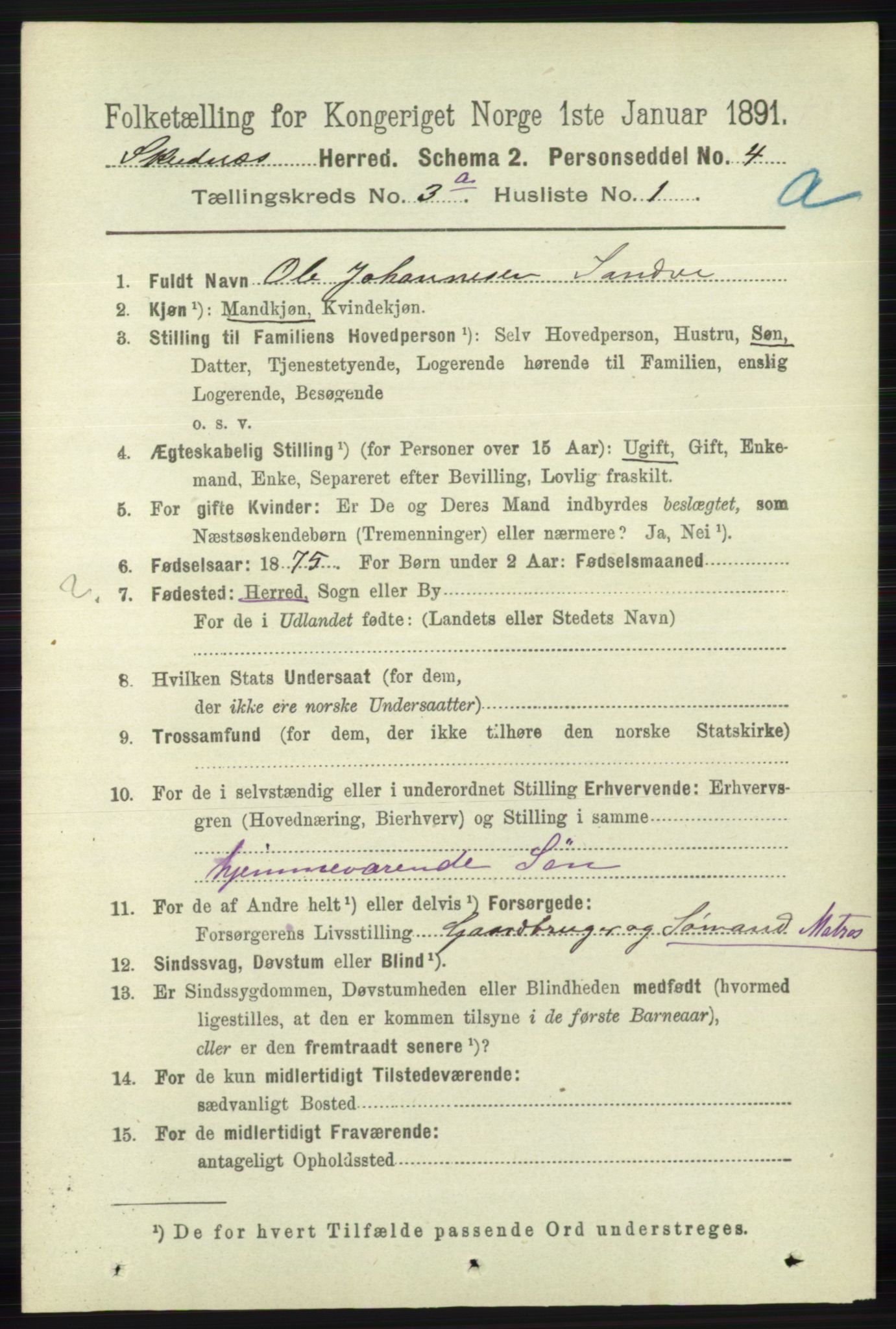 RA, 1891 census for 1150 Skudenes, 1891, p. 1378