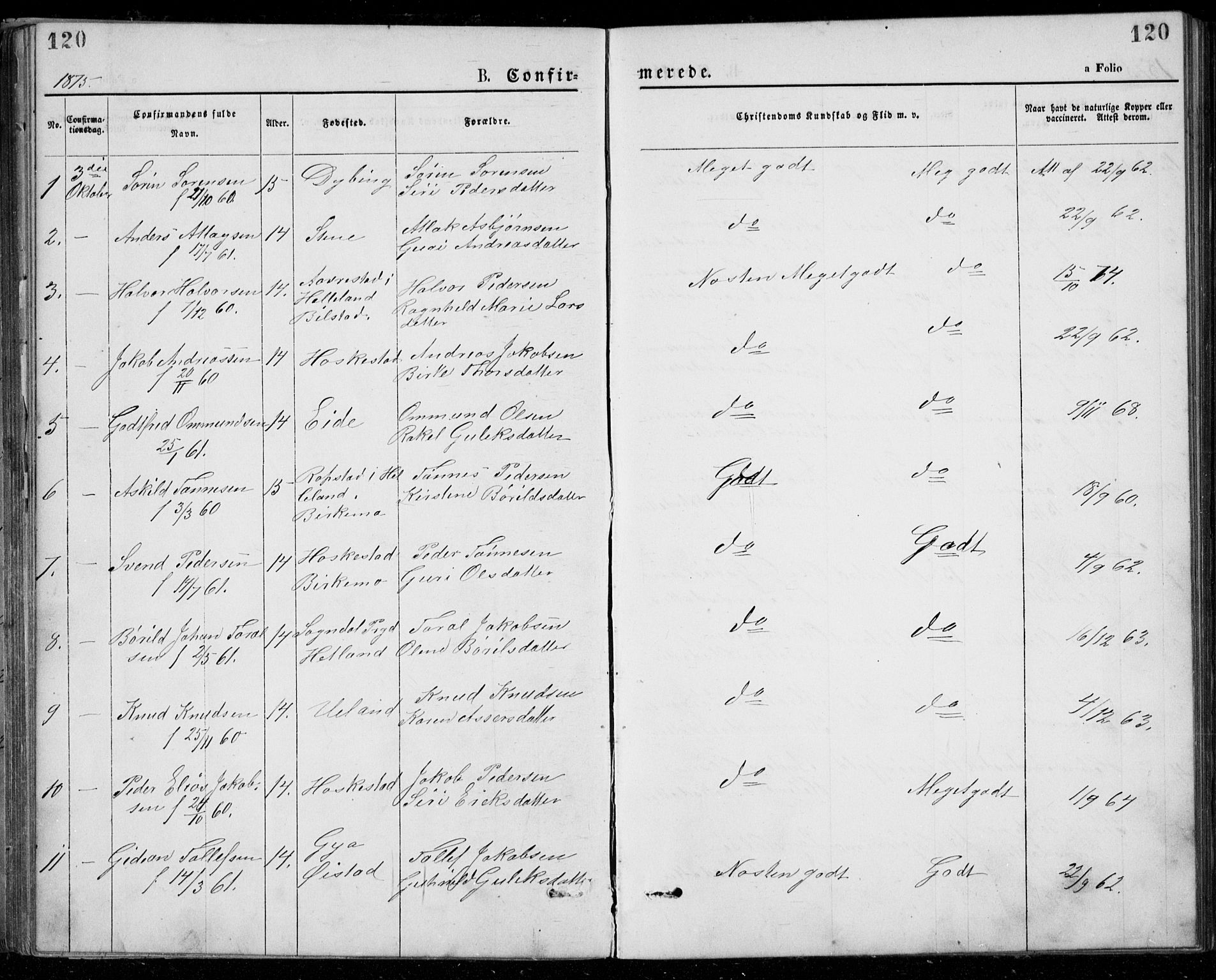 Lund sokneprestkontor, SAST/A-101809/S07/L0005: Parish register (copy) no. B 5, 1875-1889, p. 120