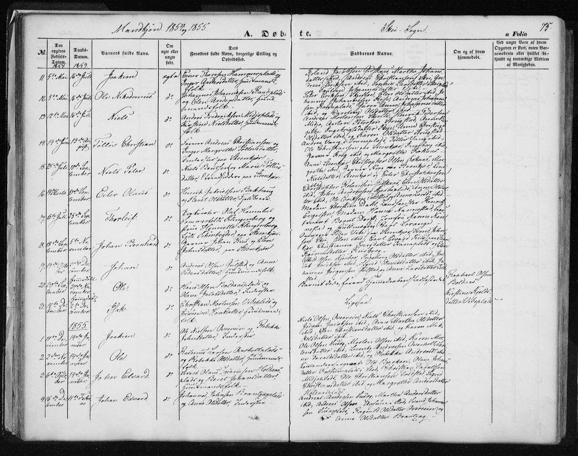Ministerialprotokoller, klokkerbøker og fødselsregistre - Nord-Trøndelag, AV/SAT-A-1458/735/L0342: Parish register (official) no. 735A07 /2, 1849-1862, p. 75