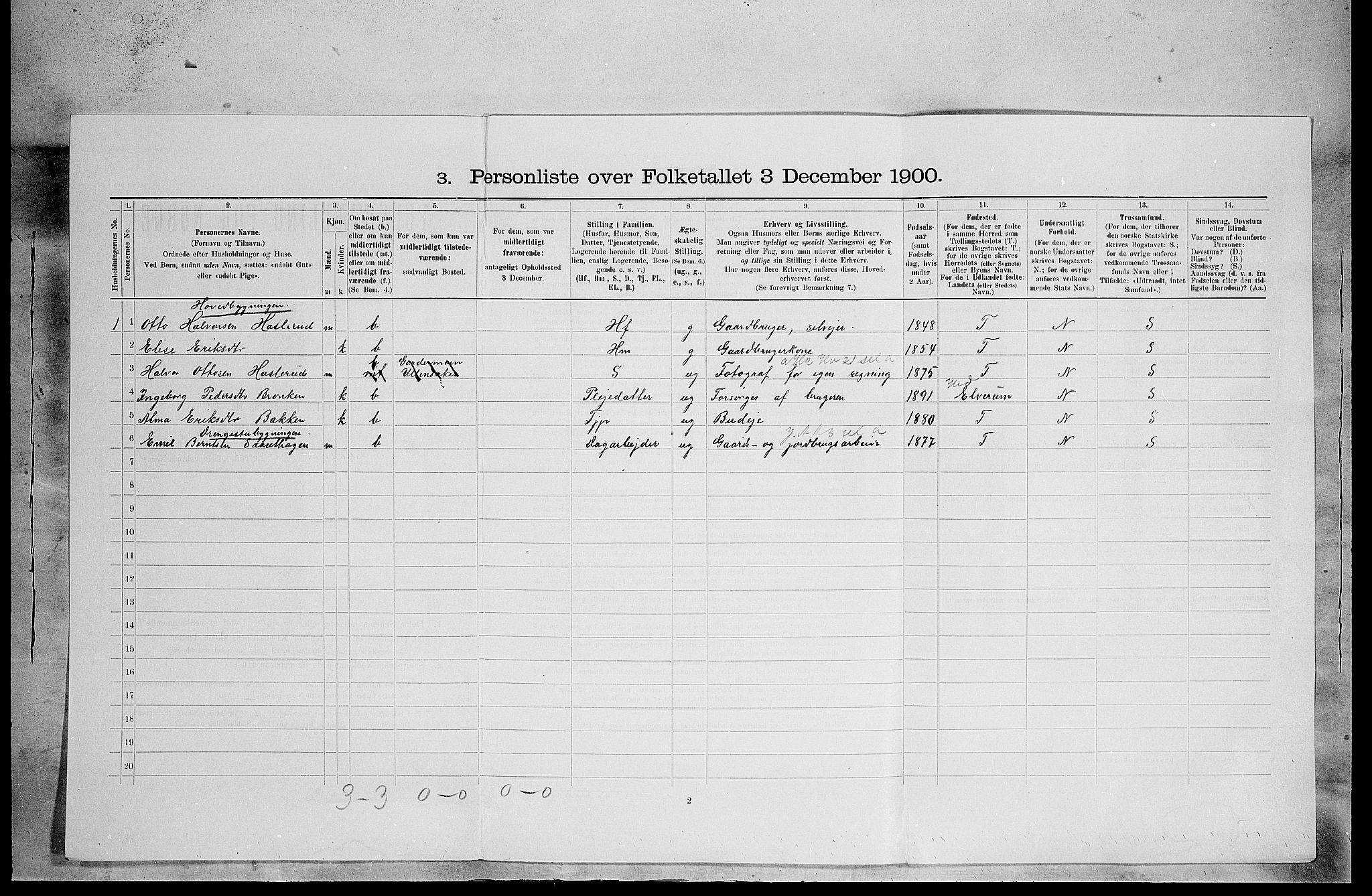 SAH, 1900 census for Åsnes, 1900, p. 493