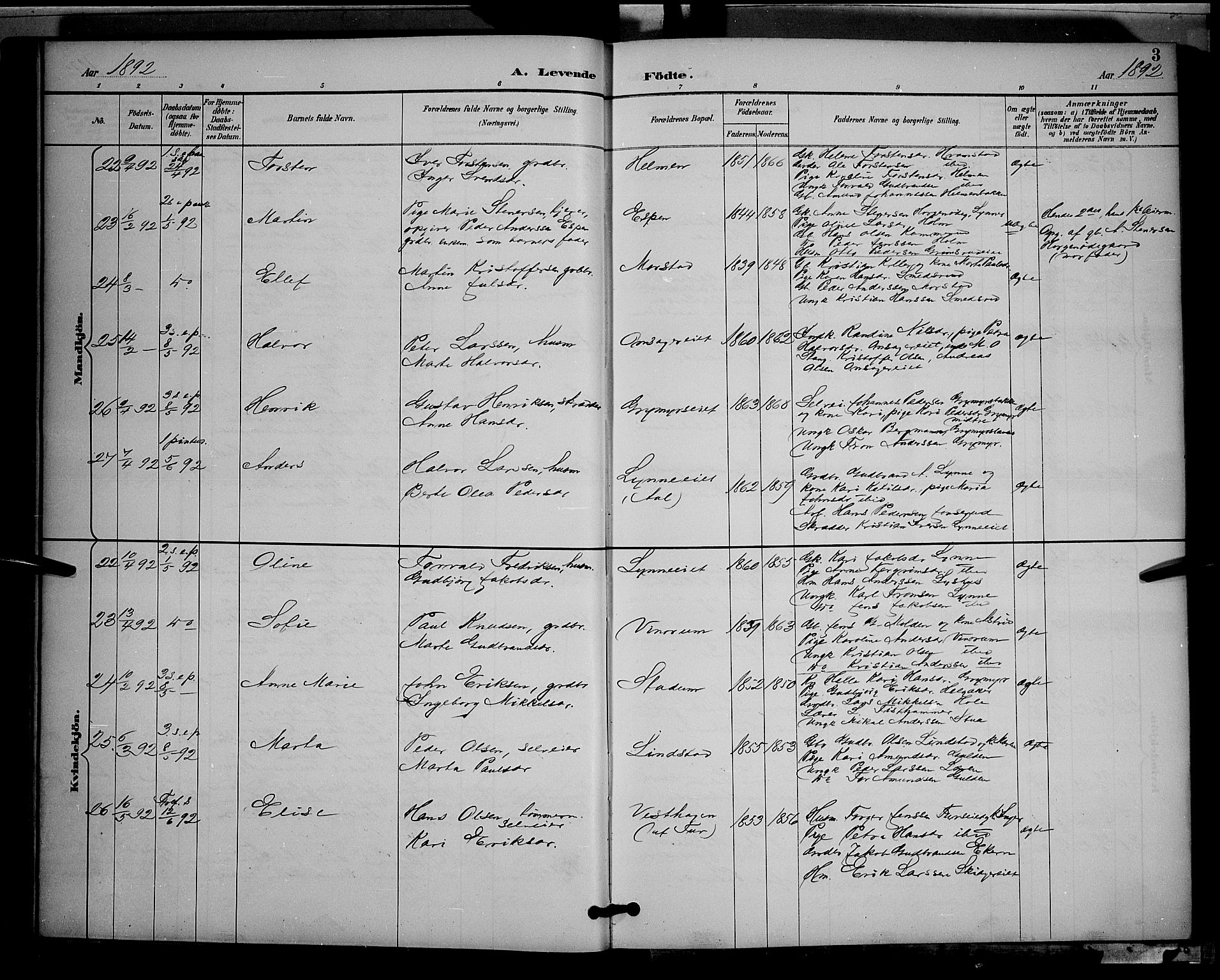 Gran prestekontor, AV/SAH-PREST-112/H/Ha/Hab/L0005: Parish register (copy) no. 5, 1892-1900, p. 3