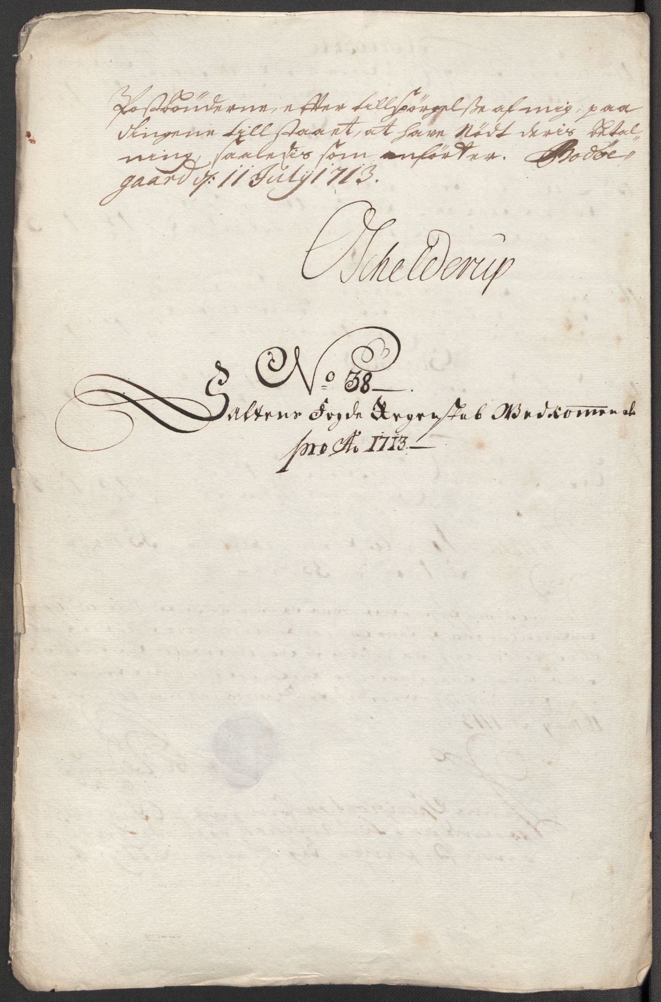 Rentekammeret inntil 1814, Reviderte regnskaper, Fogderegnskap, RA/EA-4092/R66/L4583: Fogderegnskap Salten, 1713, p. 205