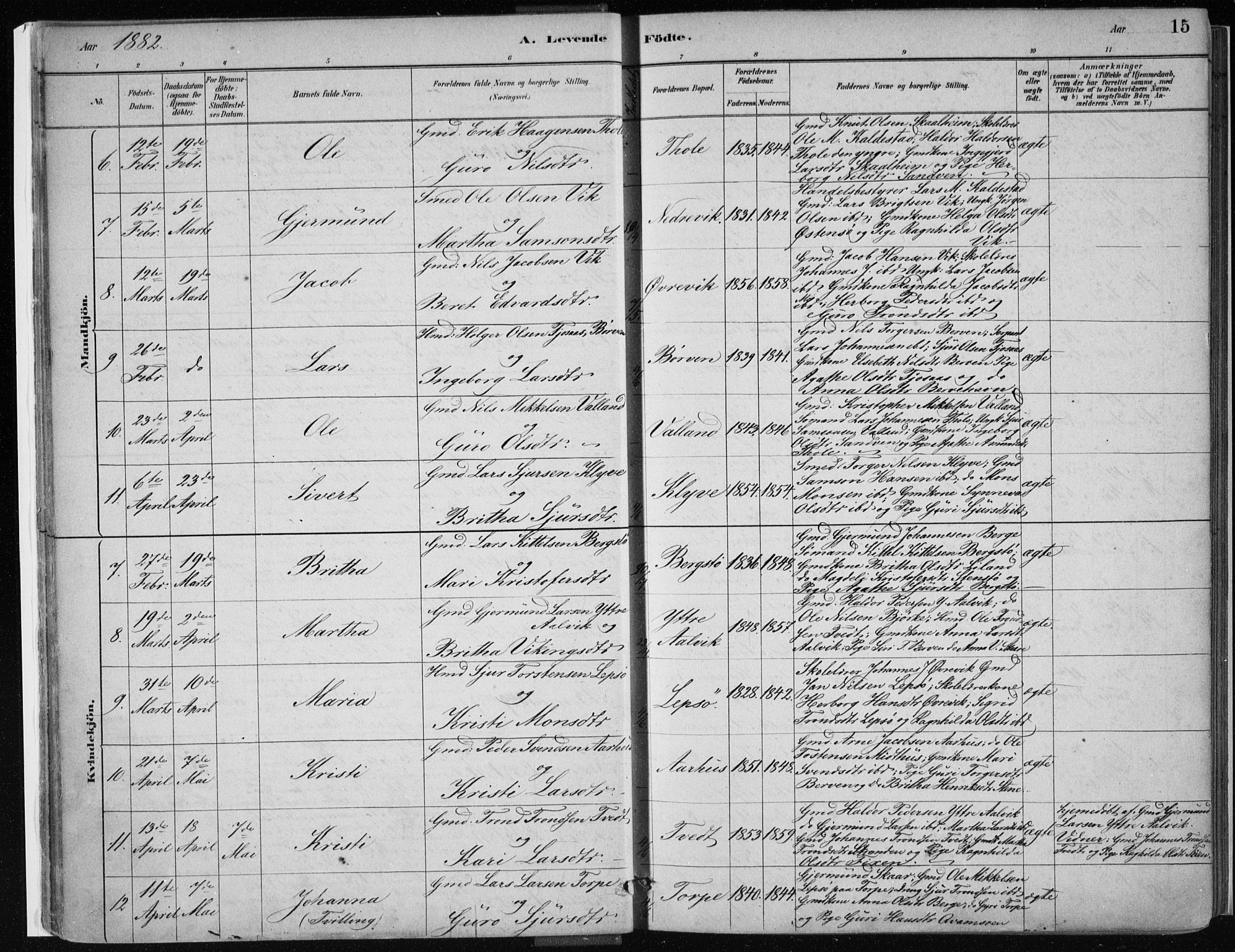 Kvam sokneprestembete, AV/SAB-A-76201/H/Haa: Parish register (official) no. C  1, 1880-1906, p. 15