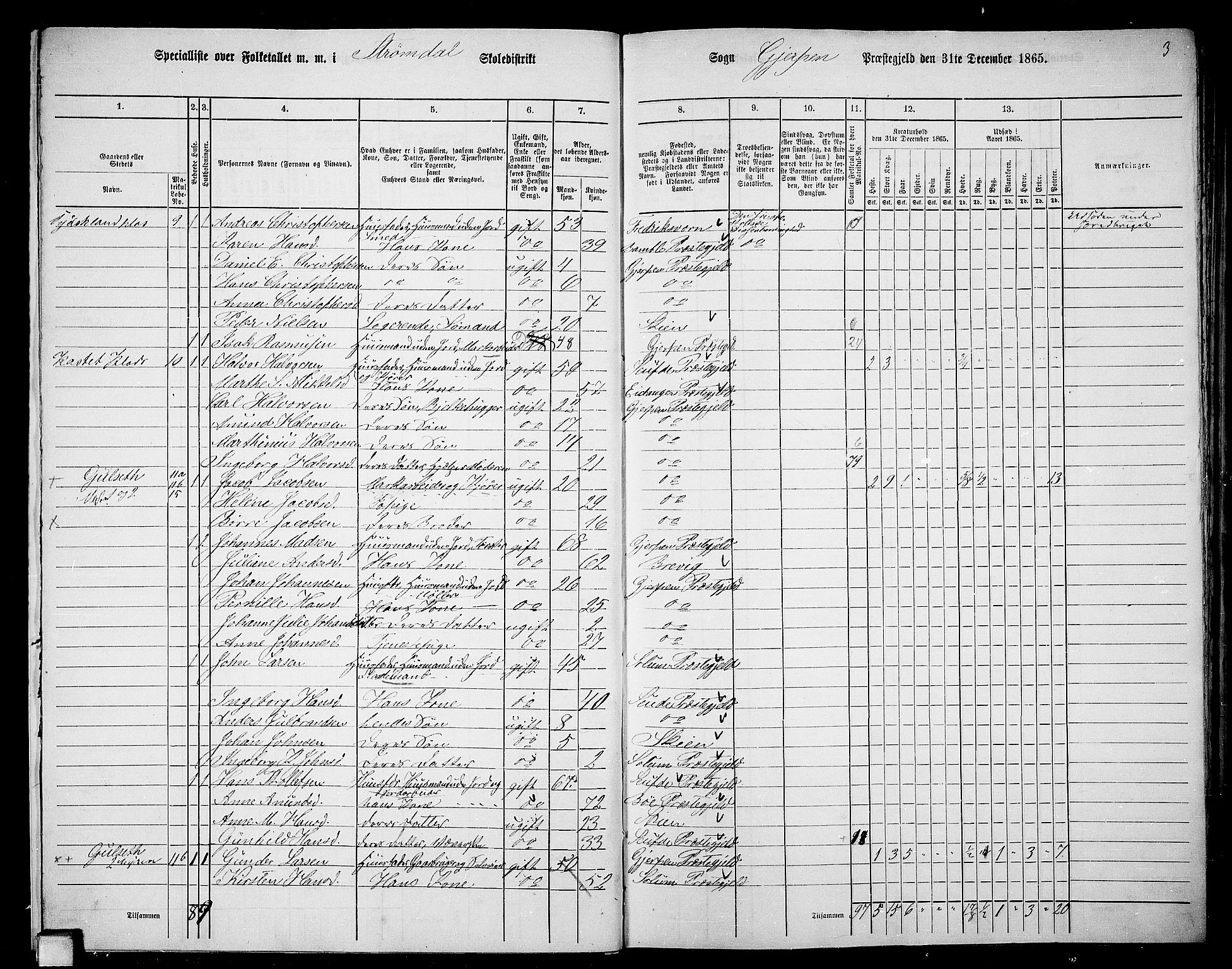 RA, 1865 census for Gjerpen, 1865, p. 19