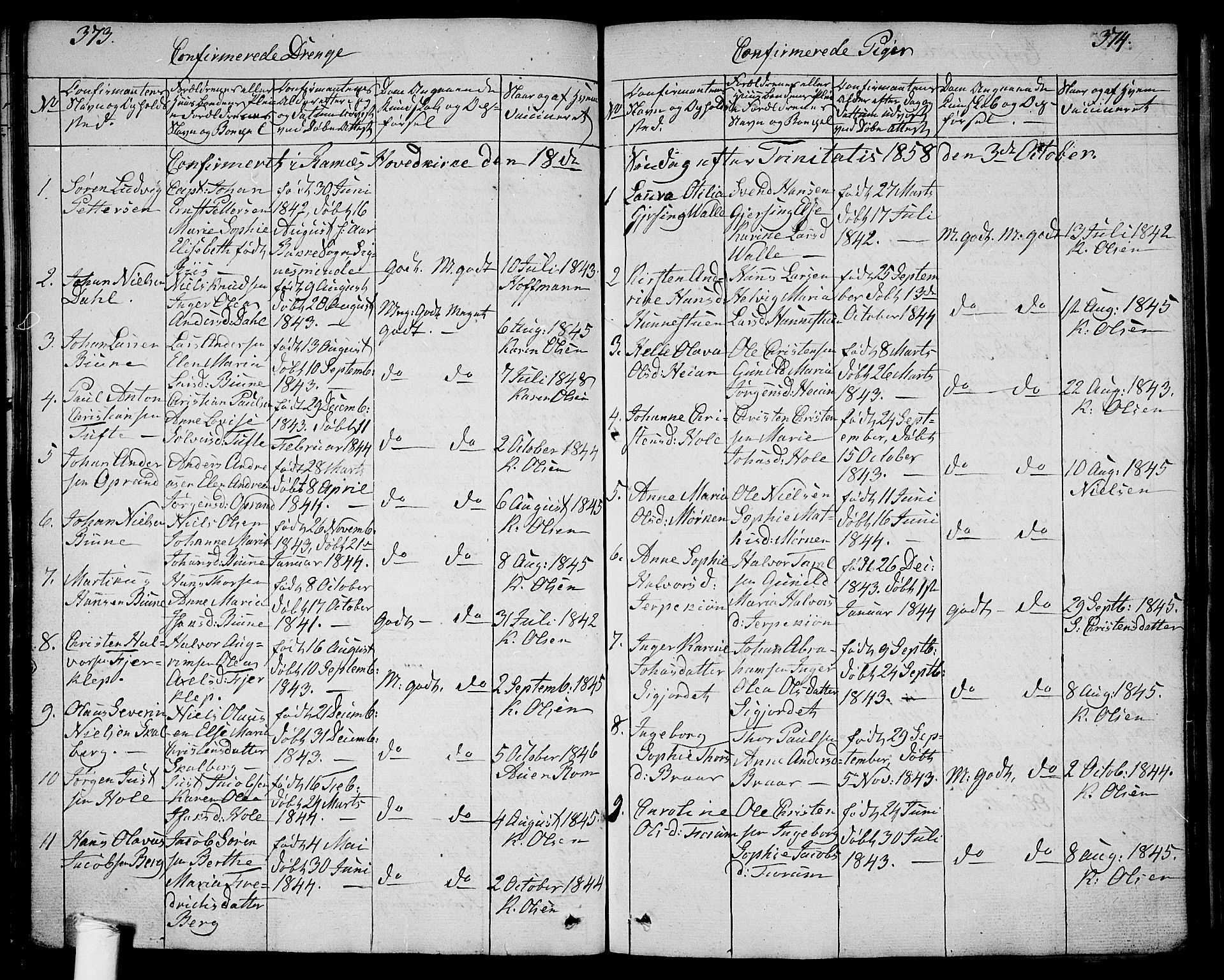 Ramnes kirkebøker, AV/SAKO-A-314/G/Ga/L0002: Parish register (copy) no. I 2, 1848-1870, p. 373-374