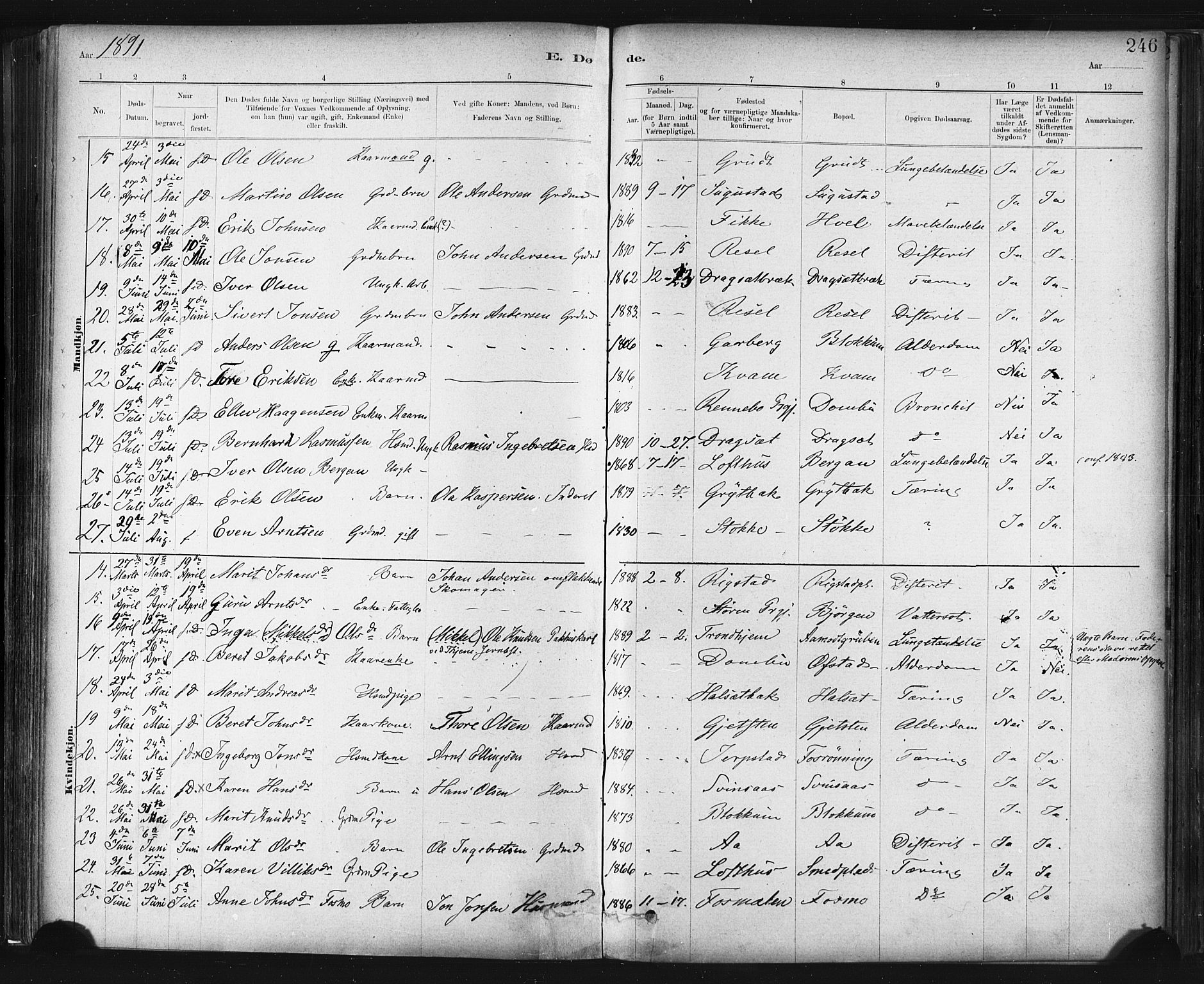 Ministerialprotokoller, klokkerbøker og fødselsregistre - Sør-Trøndelag, AV/SAT-A-1456/672/L0857: Parish register (official) no. 672A09, 1882-1893, p. 246