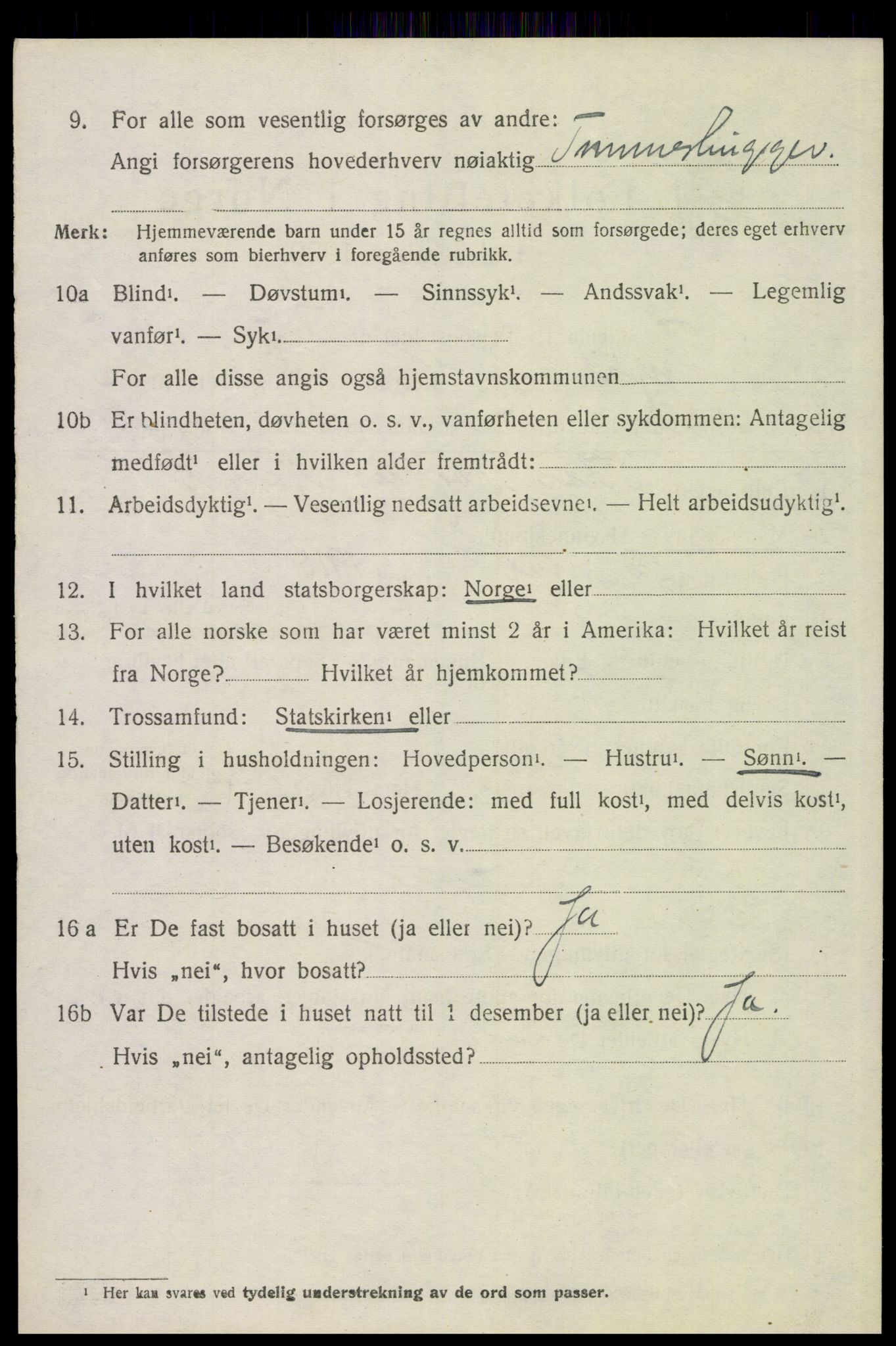 SAH, 1920 census for Trysil, 1920, p. 9480