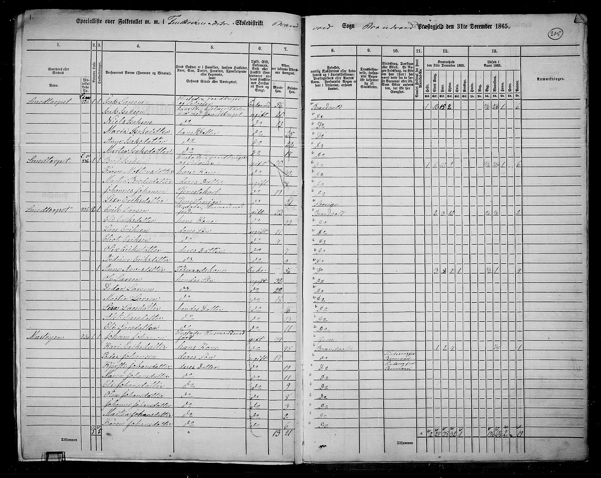 RA, 1865 census for Brandval, 1865, p. 173