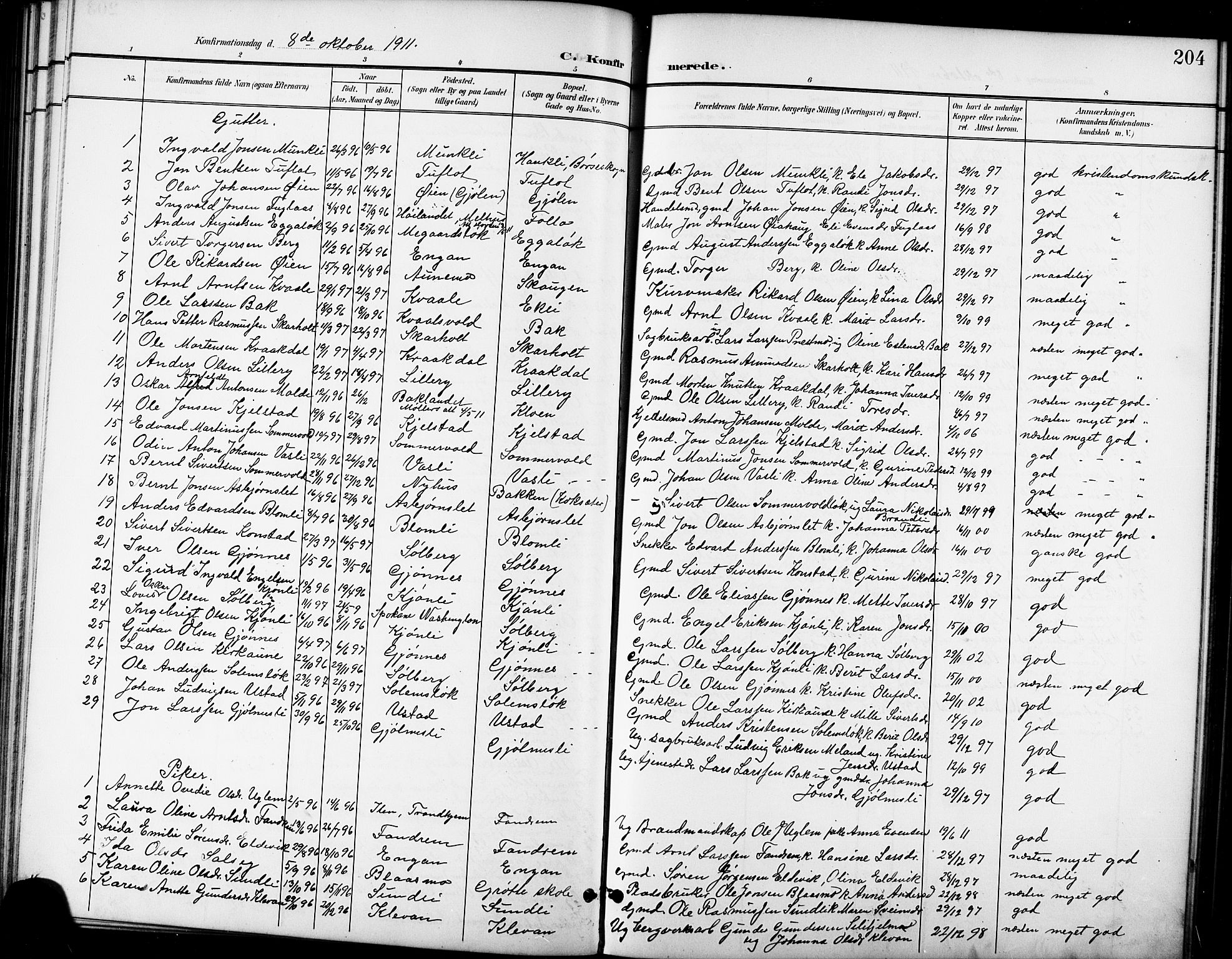 Ministerialprotokoller, klokkerbøker og fødselsregistre - Sør-Trøndelag, SAT/A-1456/668/L0819: Parish register (copy) no. 668C08, 1899-1912, p. 204