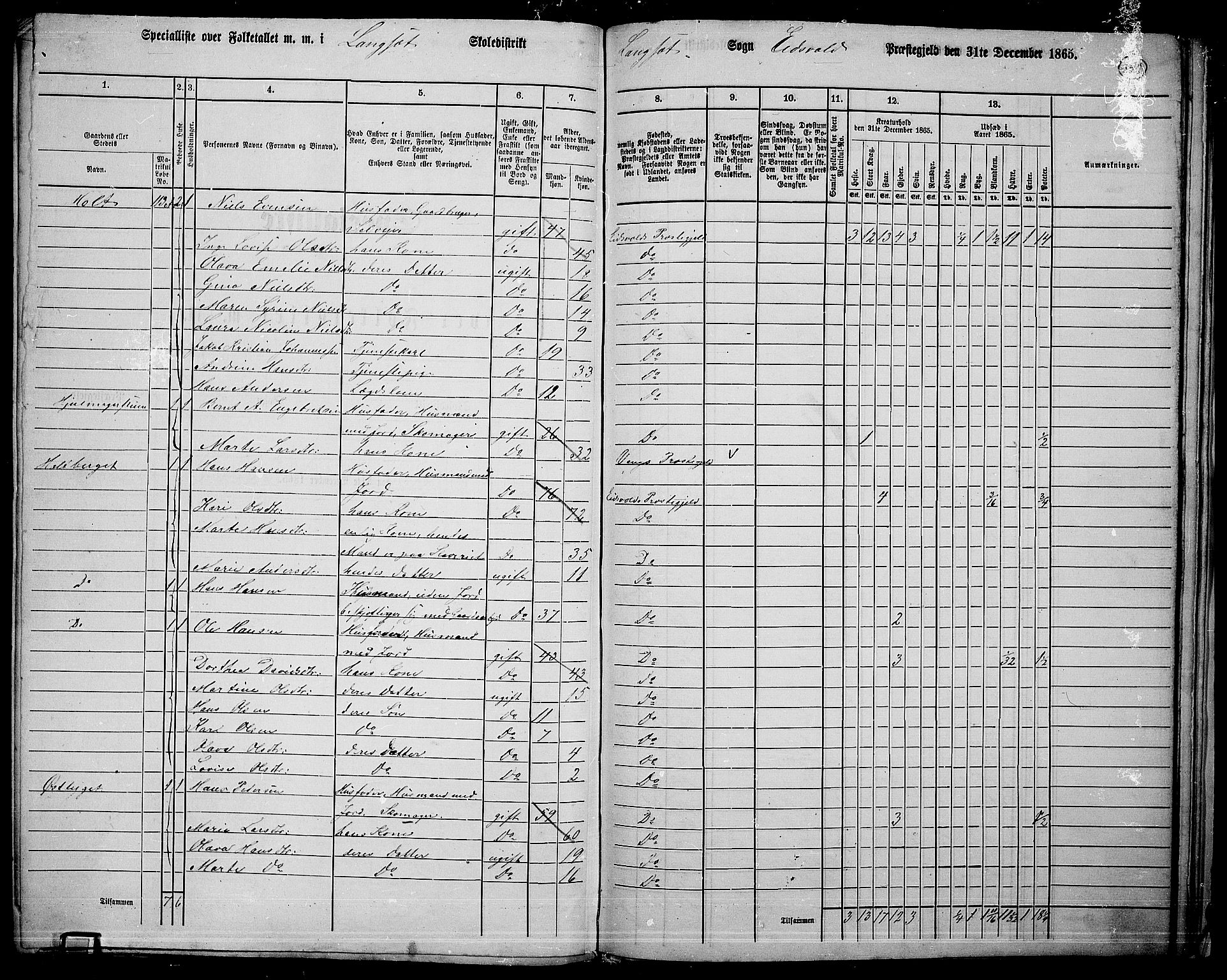 RA, 1865 census for Eidsvoll, 1865, p. 317