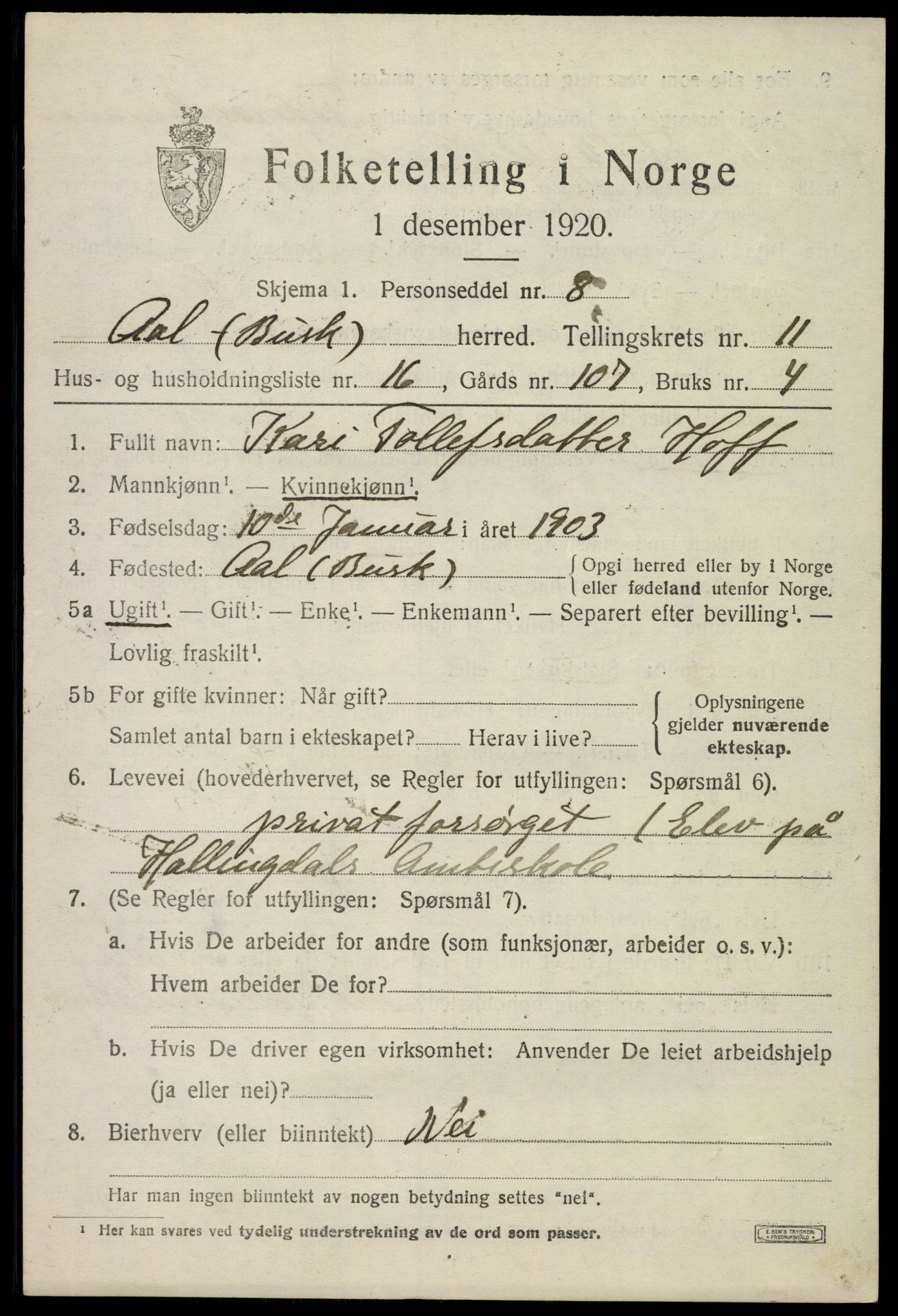 SAKO, 1920 census for Ål, 1920, p. 6436