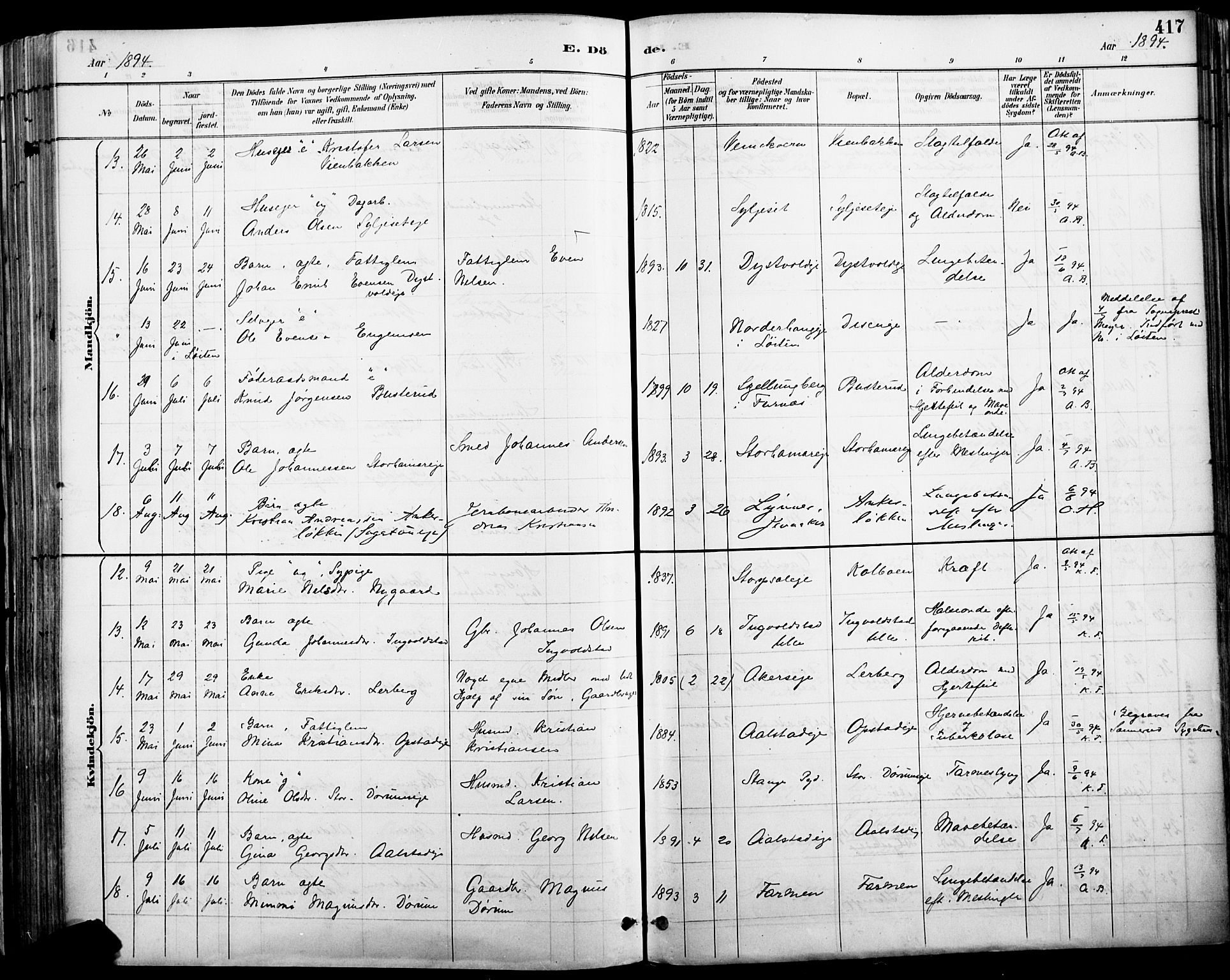 Vang prestekontor, Hedmark, SAH/PREST-008/H/Ha/Haa/L0019A: Parish register (official) no. 19, 1886-1900, p. 417