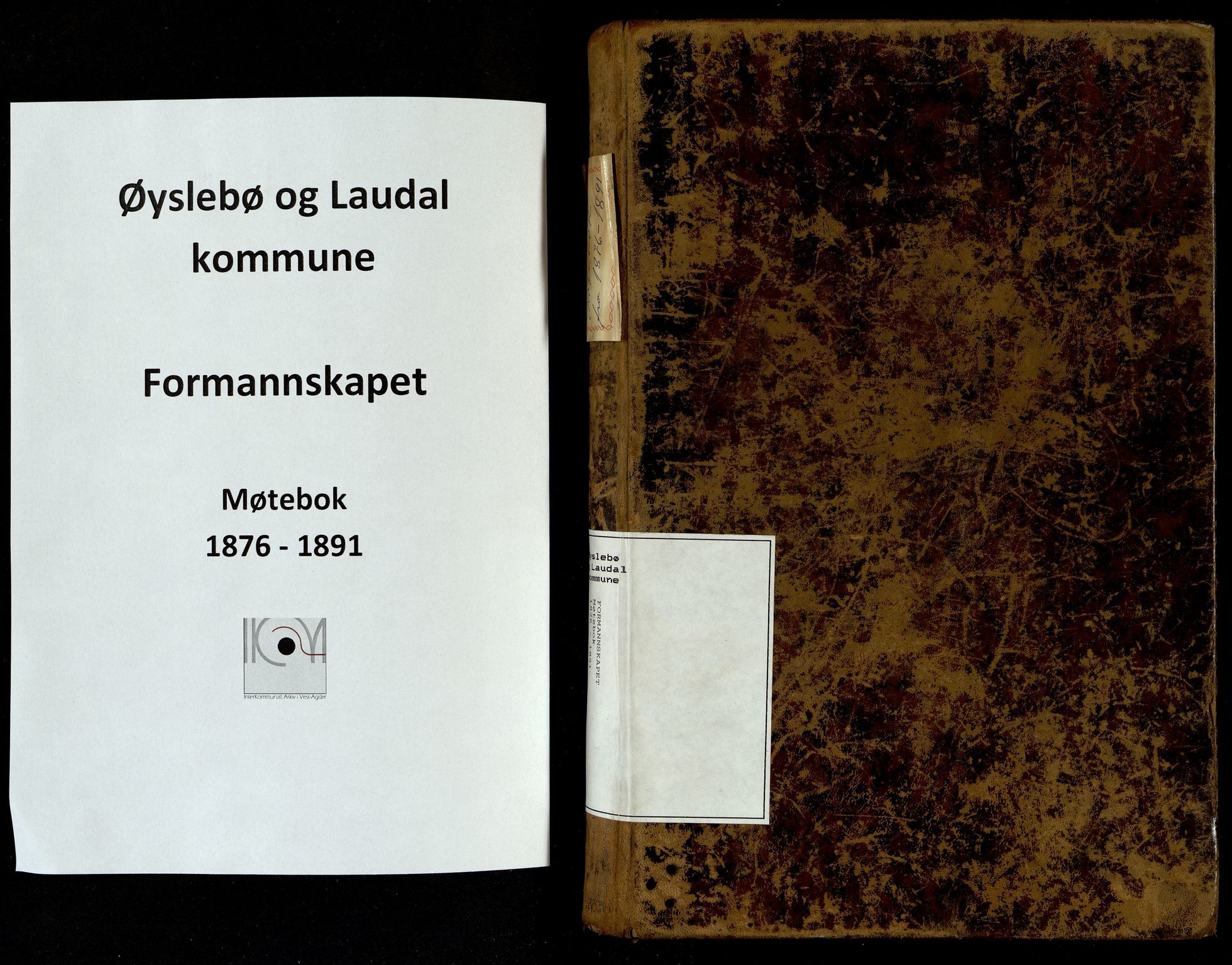 Øyslebø og Laudal kommune - Formannskapet, ARKSOR/1021ØL120/A/L0003: Møtebok Formannskapet (d), 1876-1891