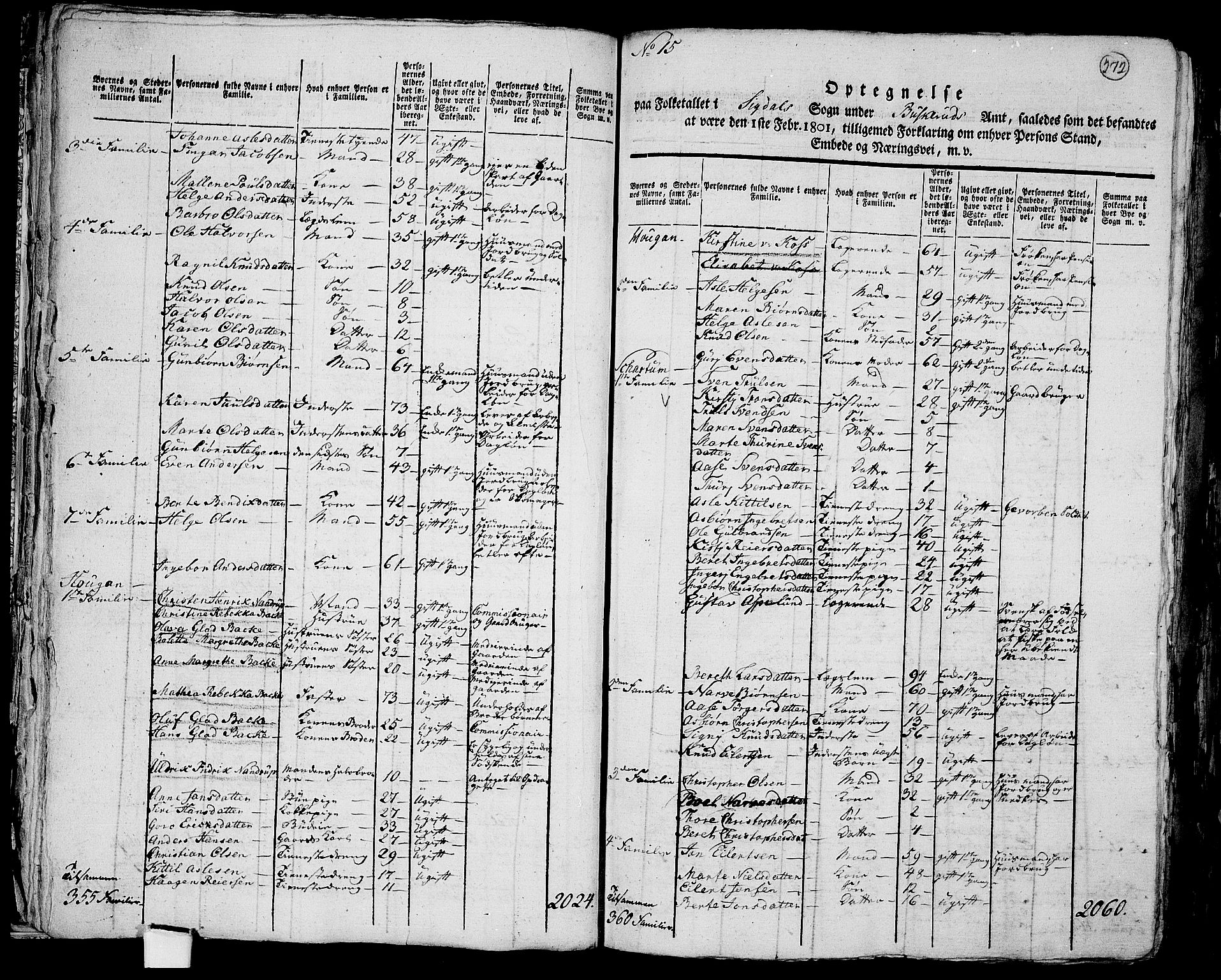 RA, 1801 census for 0621P Sigdal, 1801, p. 271b-272a