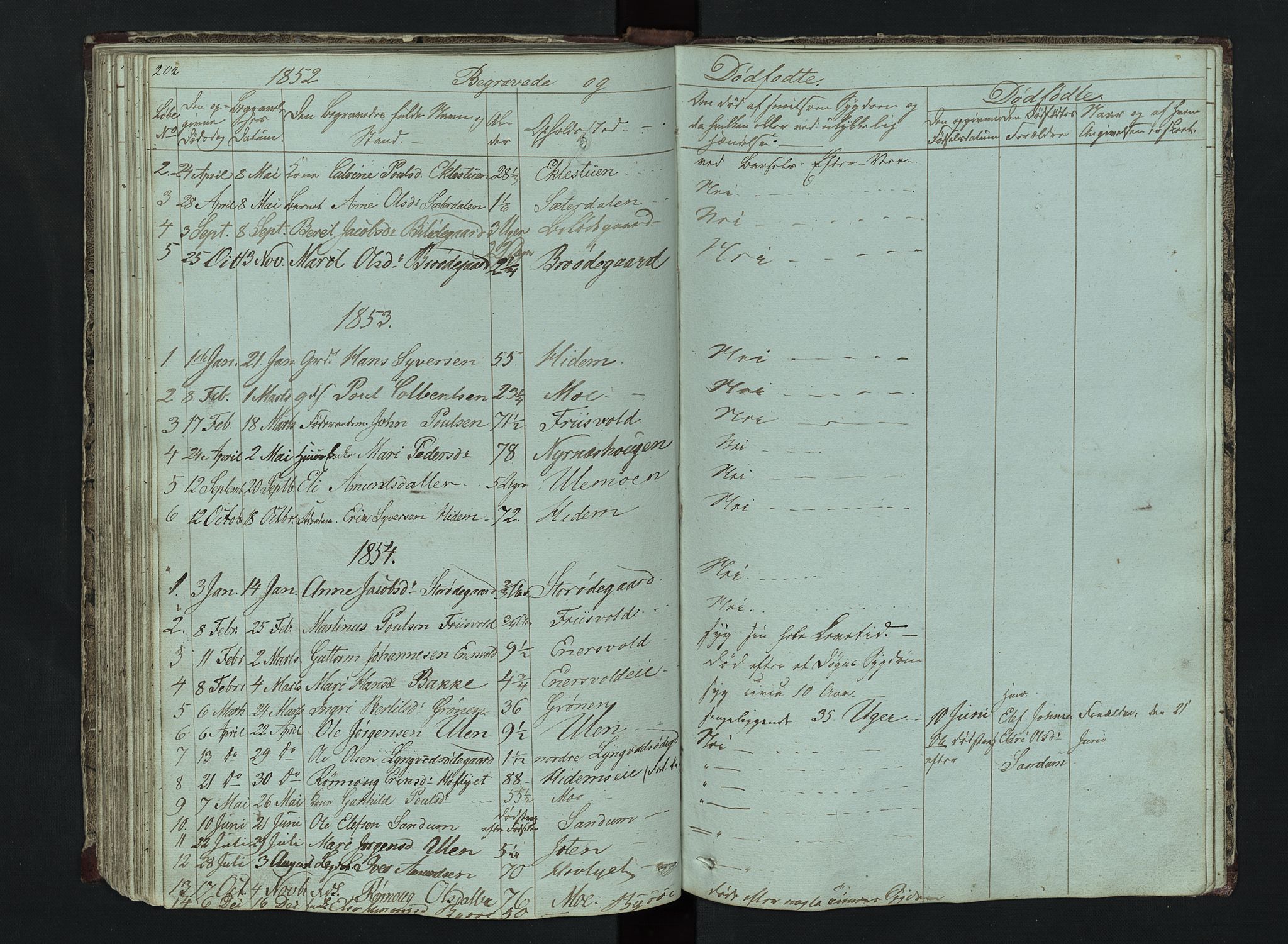 Lom prestekontor, SAH/PREST-070/L/L0014: Parish register (copy) no. 14, 1845-1876, p. 202-203