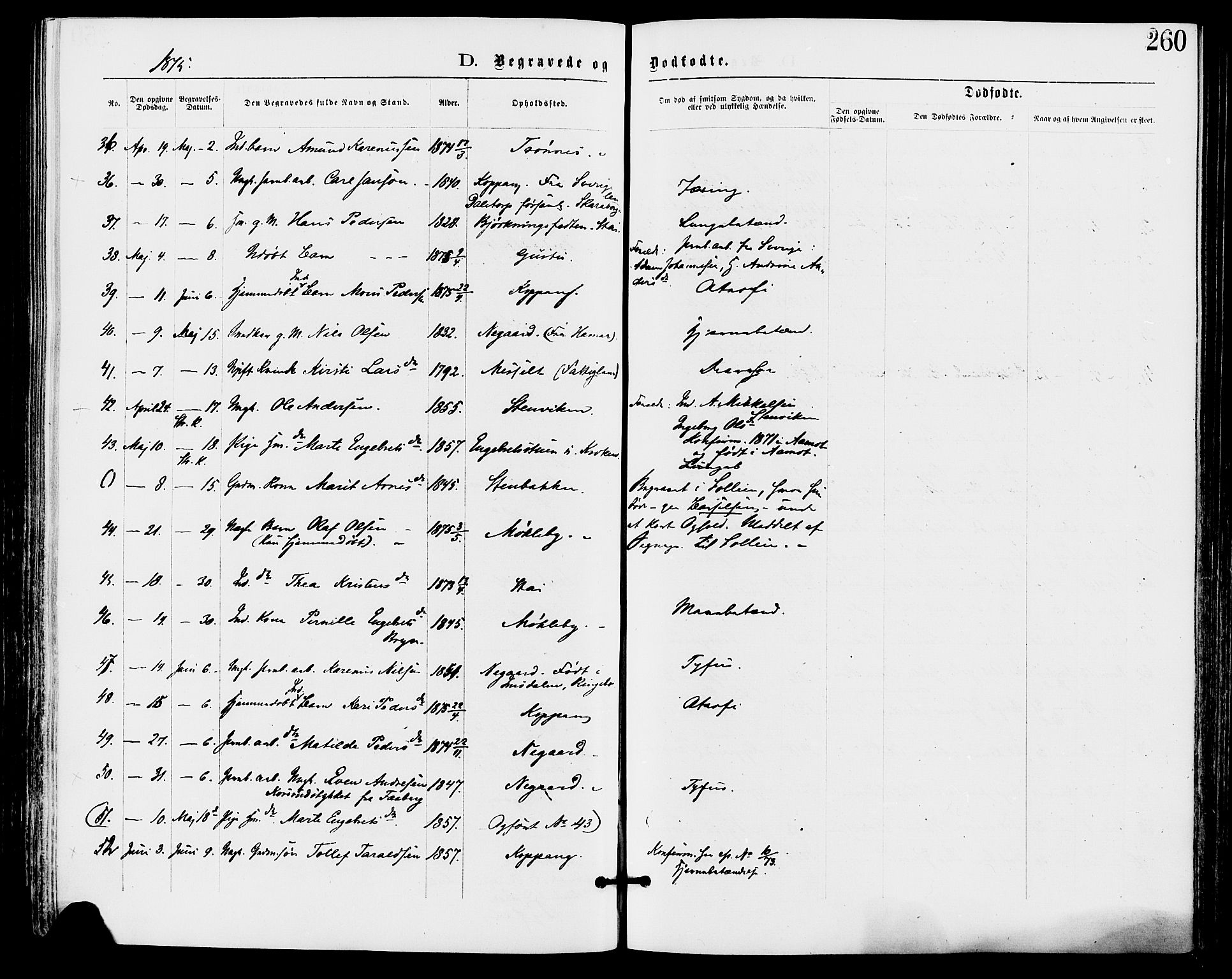 Stor-Elvdal prestekontor, AV/SAH-PREST-052/H/Ha/Haa/L0001: Parish register (official) no. 1, 1871-1882, p. 260