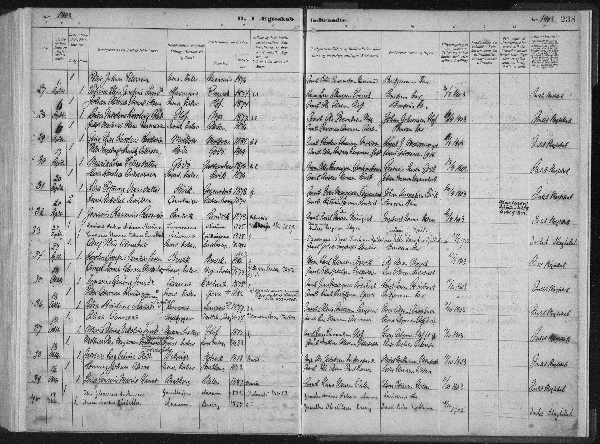 Ministerialprotokoller, klokkerbøker og fødselsregistre - Møre og Romsdal, AV/SAT-A-1454/528/L0405: Parish register (official) no. 528A14, 1891-1906, p. 238