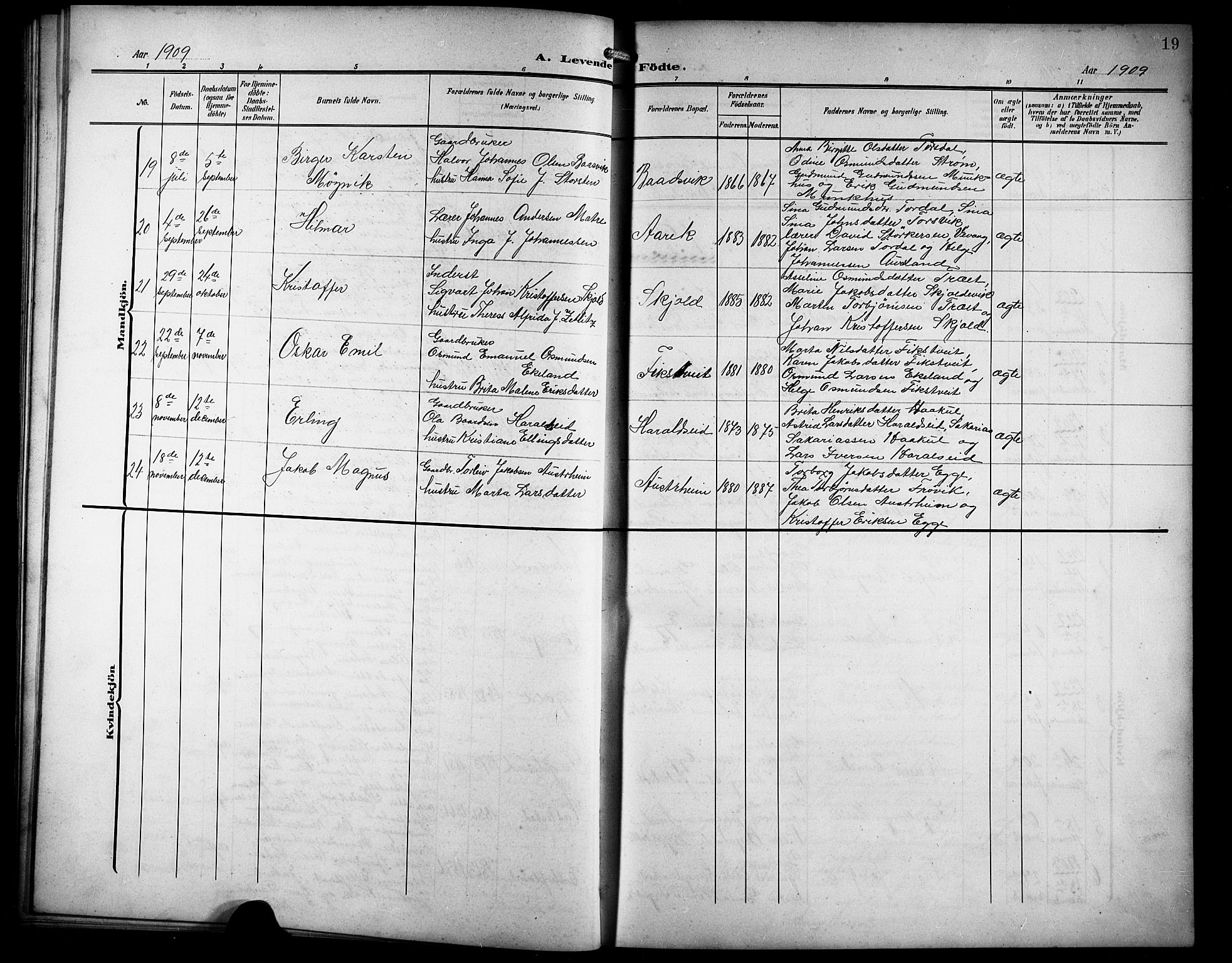 Skjold sokneprestkontor, AV/SAST-A-101847/H/Ha/Hab/L0008: Parish register (copy) no. B 8, 1906-1920, p. 19