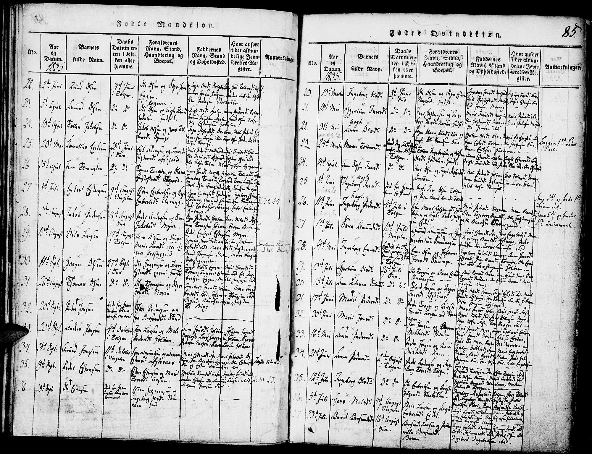 Tolga prestekontor, SAH/PREST-062/K/L0004: Parish register (official) no. 4, 1815-1836, p. 85