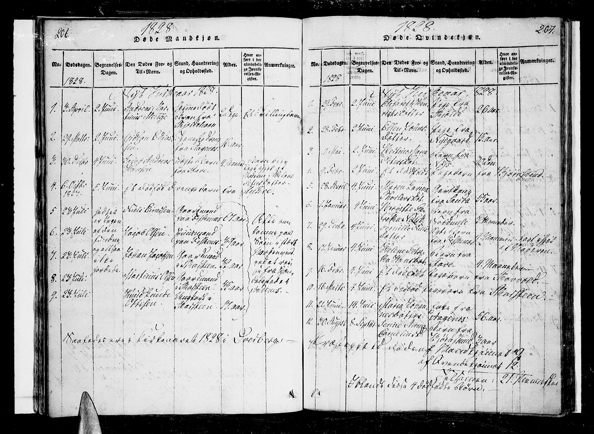 Ministerialprotokoller, klokkerbøker og fødselsregistre - Nordland, SAT/A-1459/897/L1395: Parish register (official) no. 897A03, 1820-1841, p. 206-207