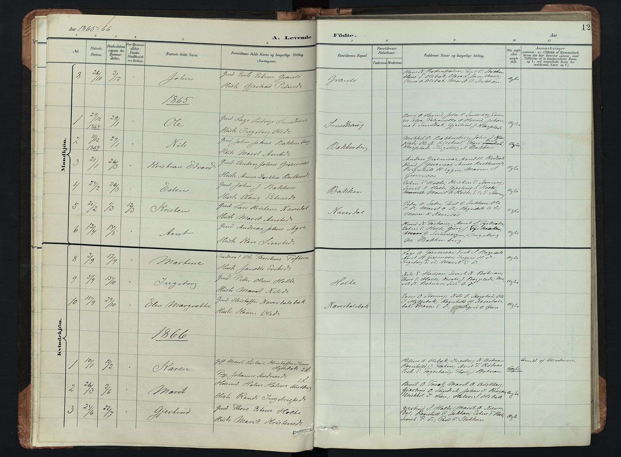 Kvikne prestekontor, AV/SAH-PREST-064/H/Ha/Hab/L0002: Parish register (copy) no. 2, 1859-1901, p. 12