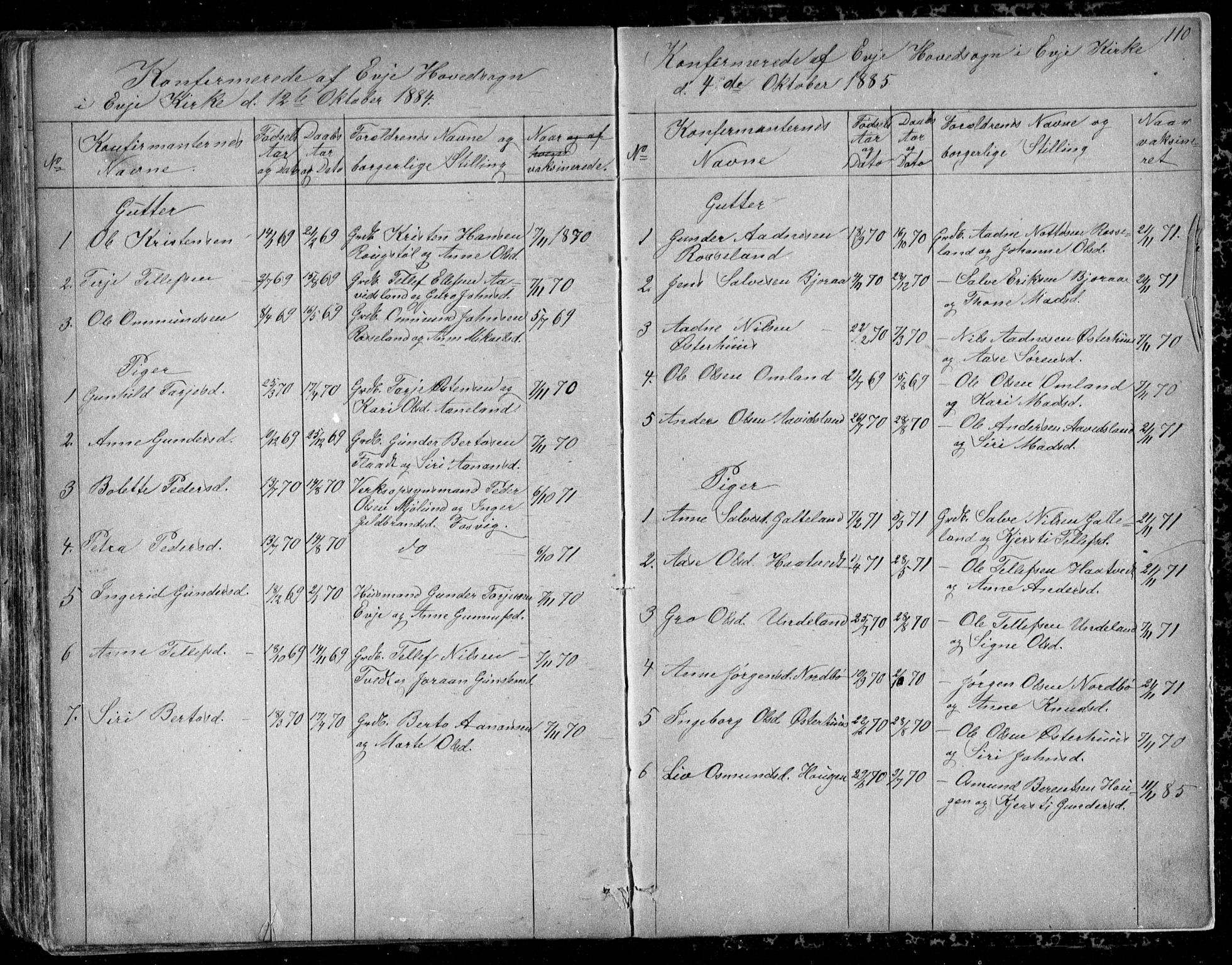 Evje sokneprestkontor, AV/SAK-1111-0008/F/Fb/Fba/L0002: Parish register (copy) no. B 2, 1849-1896, p. 110