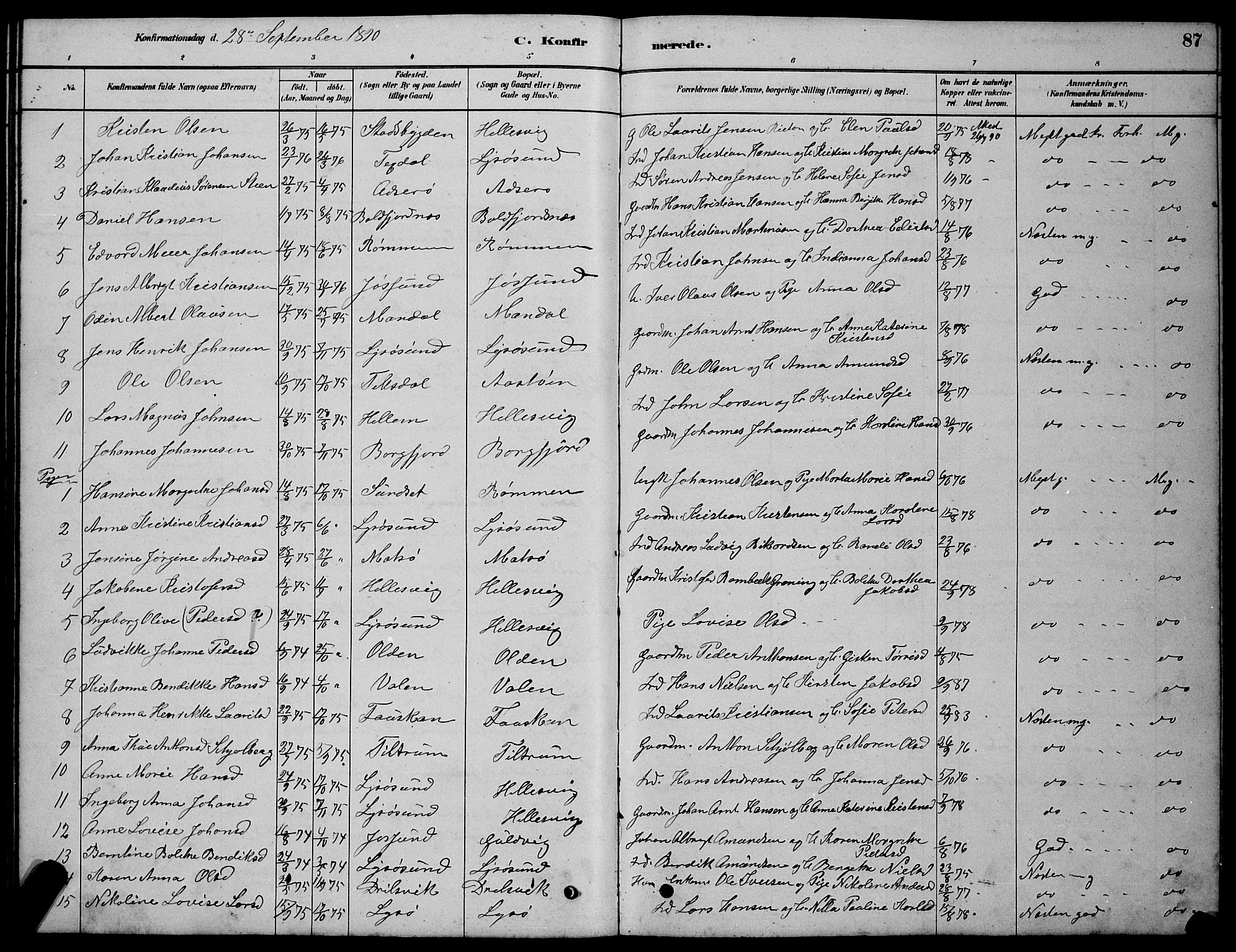 Ministerialprotokoller, klokkerbøker og fødselsregistre - Sør-Trøndelag, AV/SAT-A-1456/654/L0665: Parish register (copy) no. 654C01, 1879-1901, p. 87