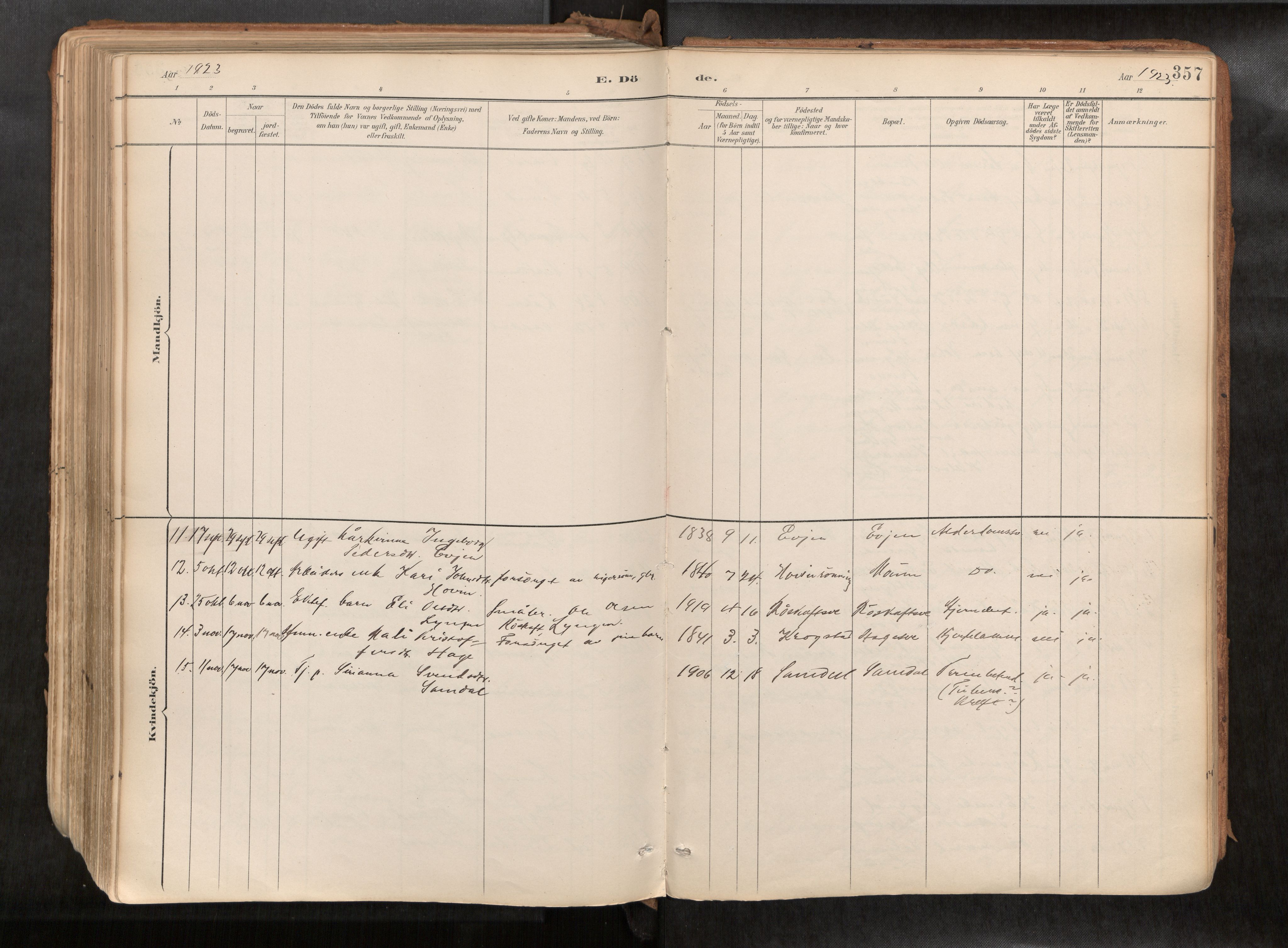 Ministerialprotokoller, klokkerbøker og fødselsregistre - Sør-Trøndelag, SAT/A-1456/692/L1105b: Parish register (official) no. 692A06, 1891-1934, p. 357