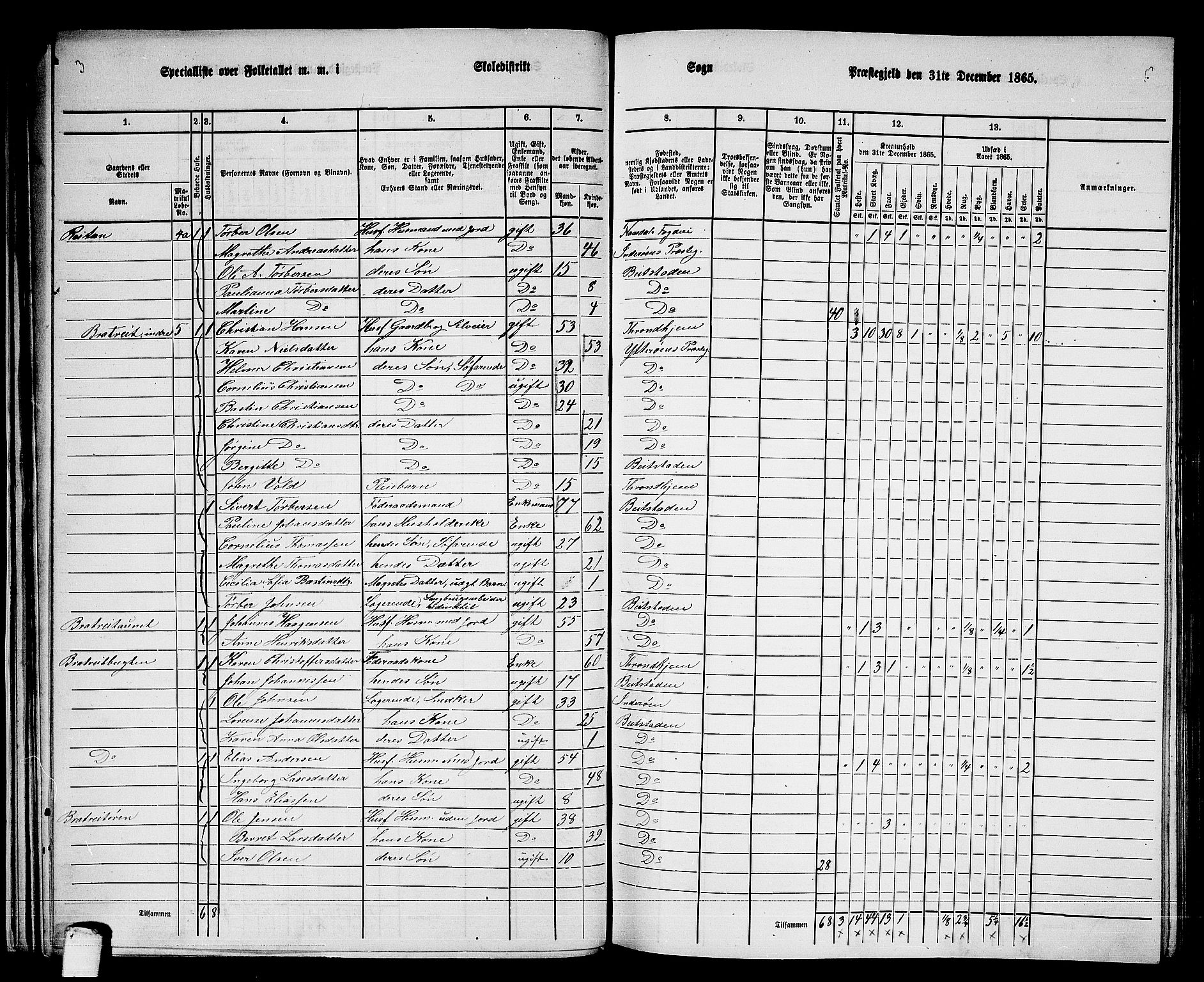 RA, 1865 census for Beitstad, 1865, p. 34