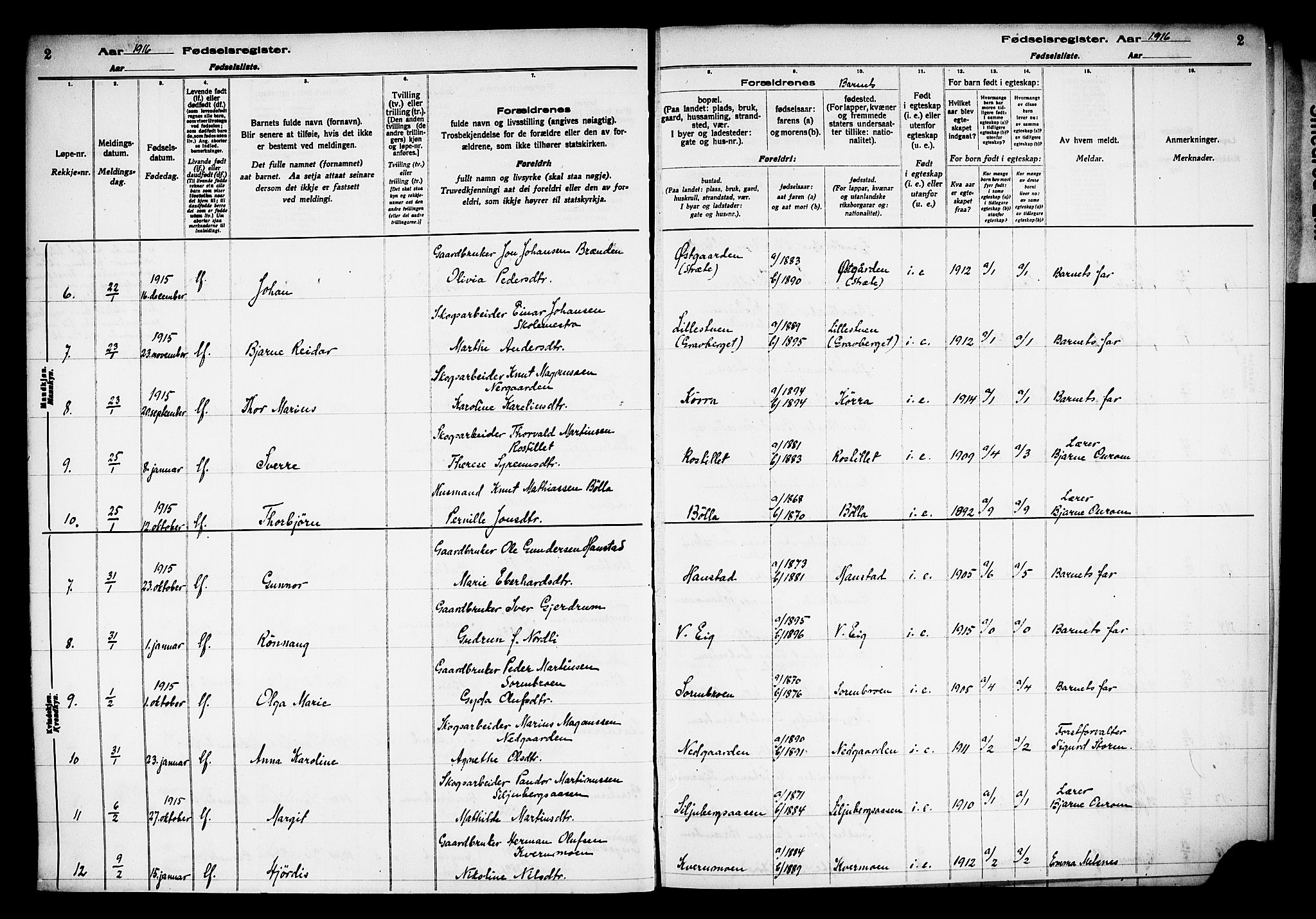 Våler prestekontor, Hedmark, AV/SAH-PREST-040/I/Id/L0001: Birth register no. 1, 1916-1930, p. 2