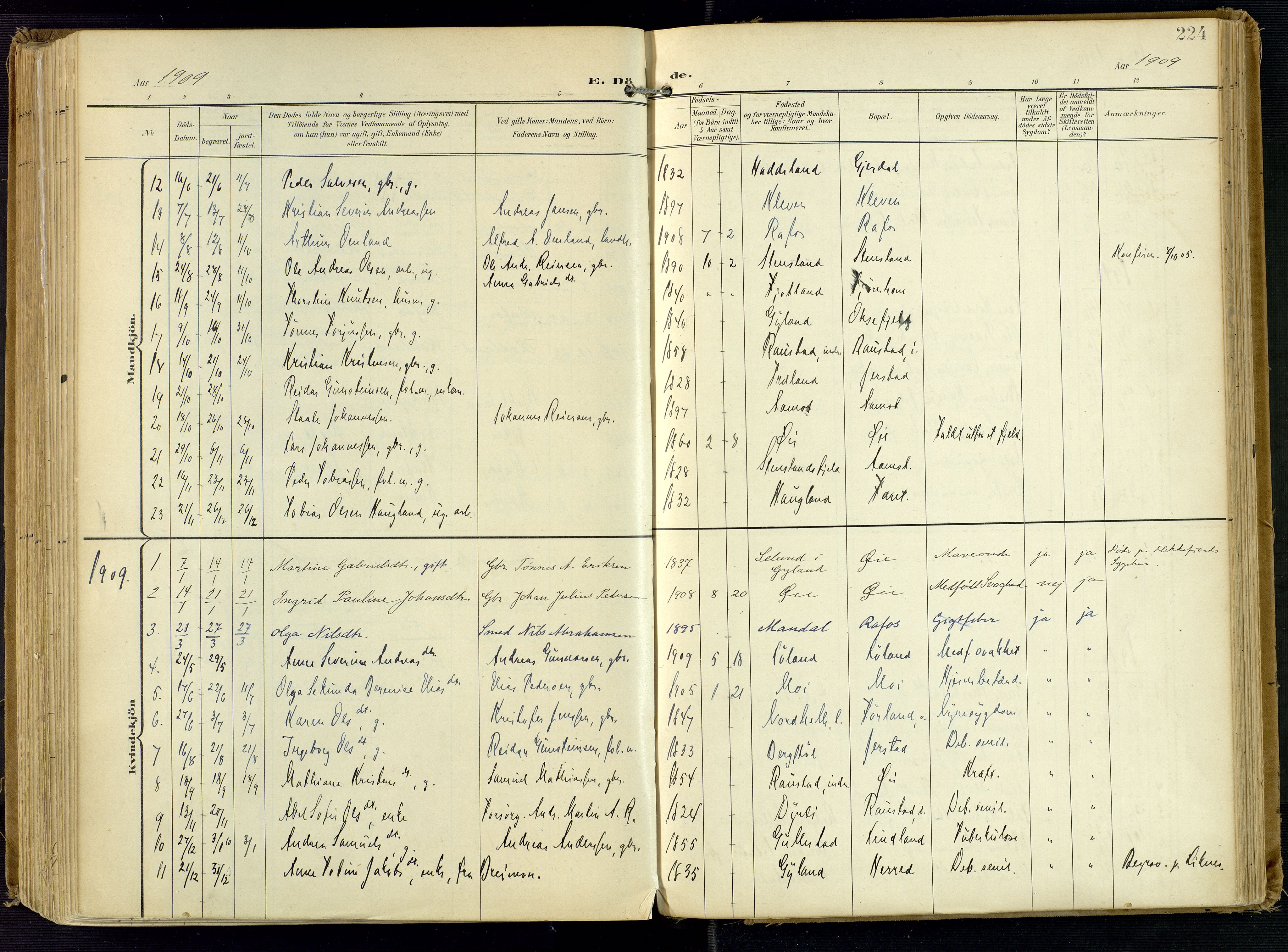 Kvinesdal sokneprestkontor, AV/SAK-1111-0026/F/Fa/Fab/L0009: Parish register (official) no. A 9, 1898-1915, p. 224