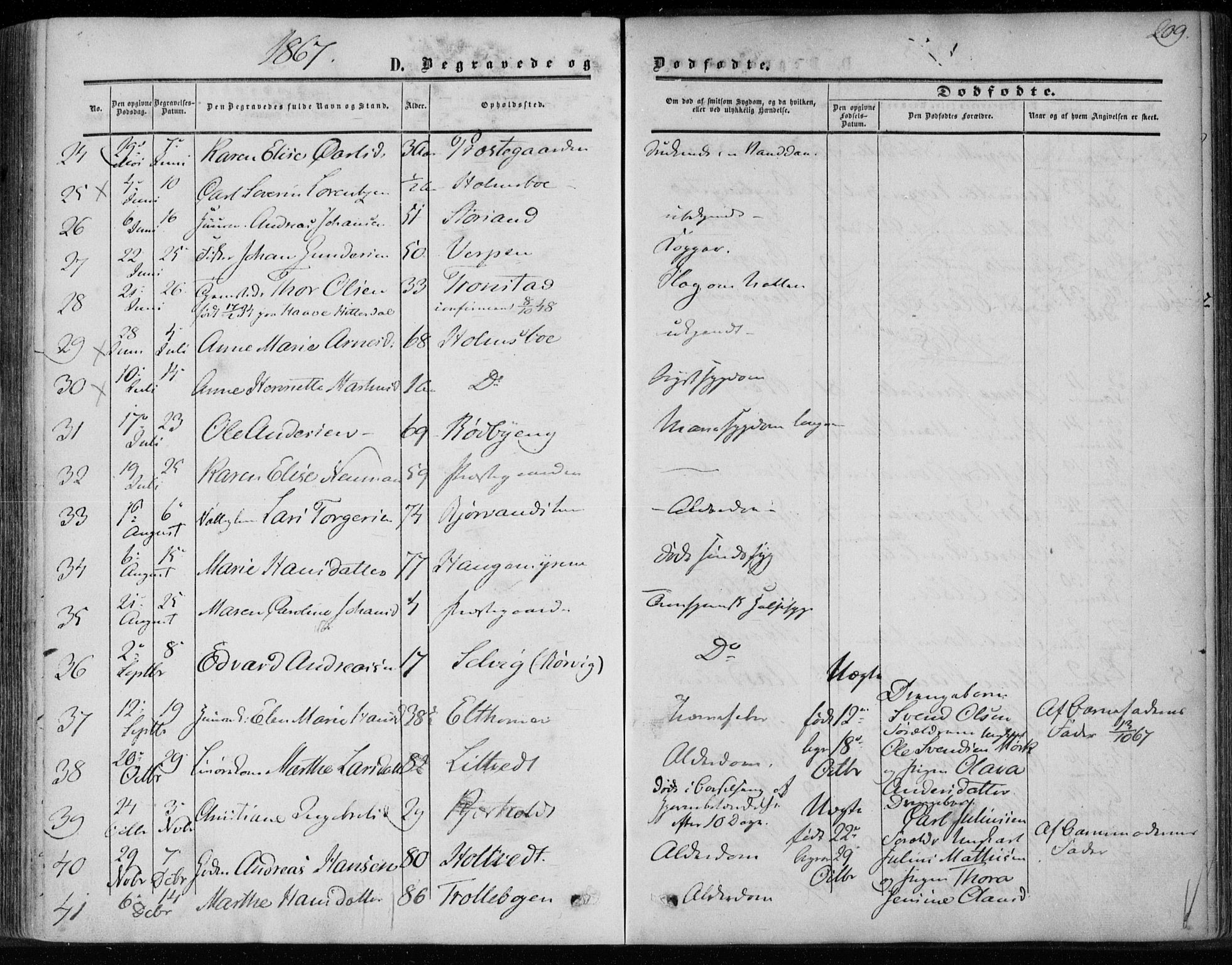 Hurum kirkebøker, AV/SAKO-A-229/F/Fa/L0012: Parish register (official) no. 12, 1861-1875, p. 209