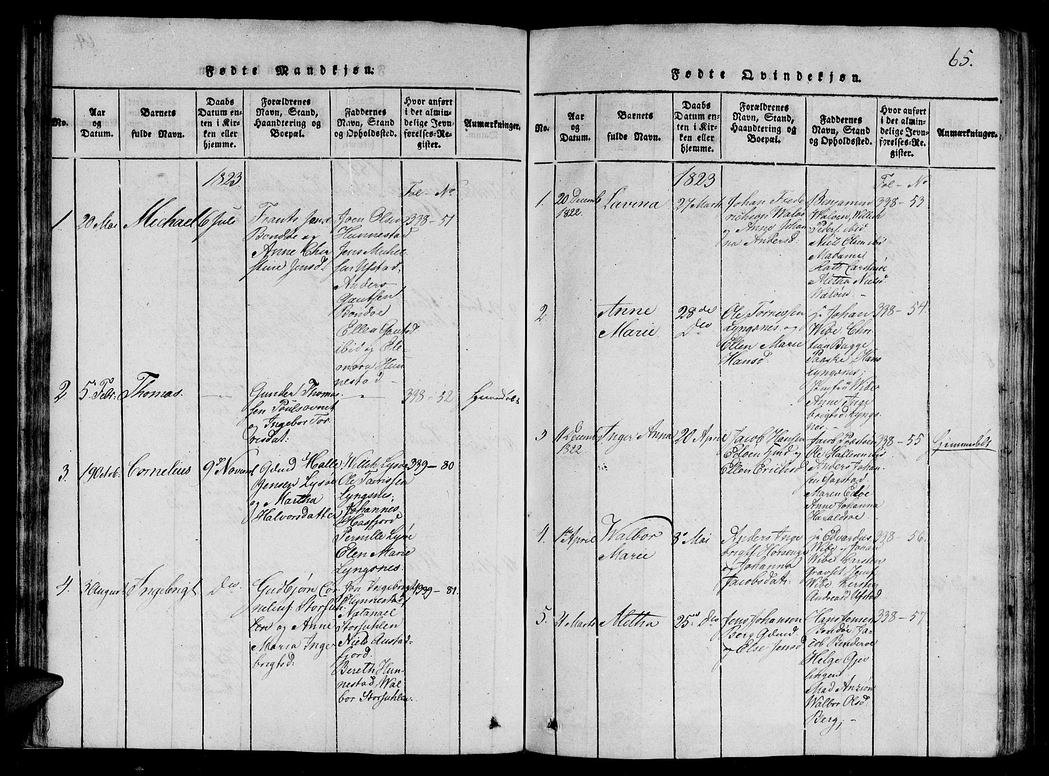 Ministerialprotokoller, klokkerbøker og fødselsregistre - Nord-Trøndelag, SAT/A-1458/784/L0667: Parish register (official) no. 784A03 /2, 1818-1829, p. 65
