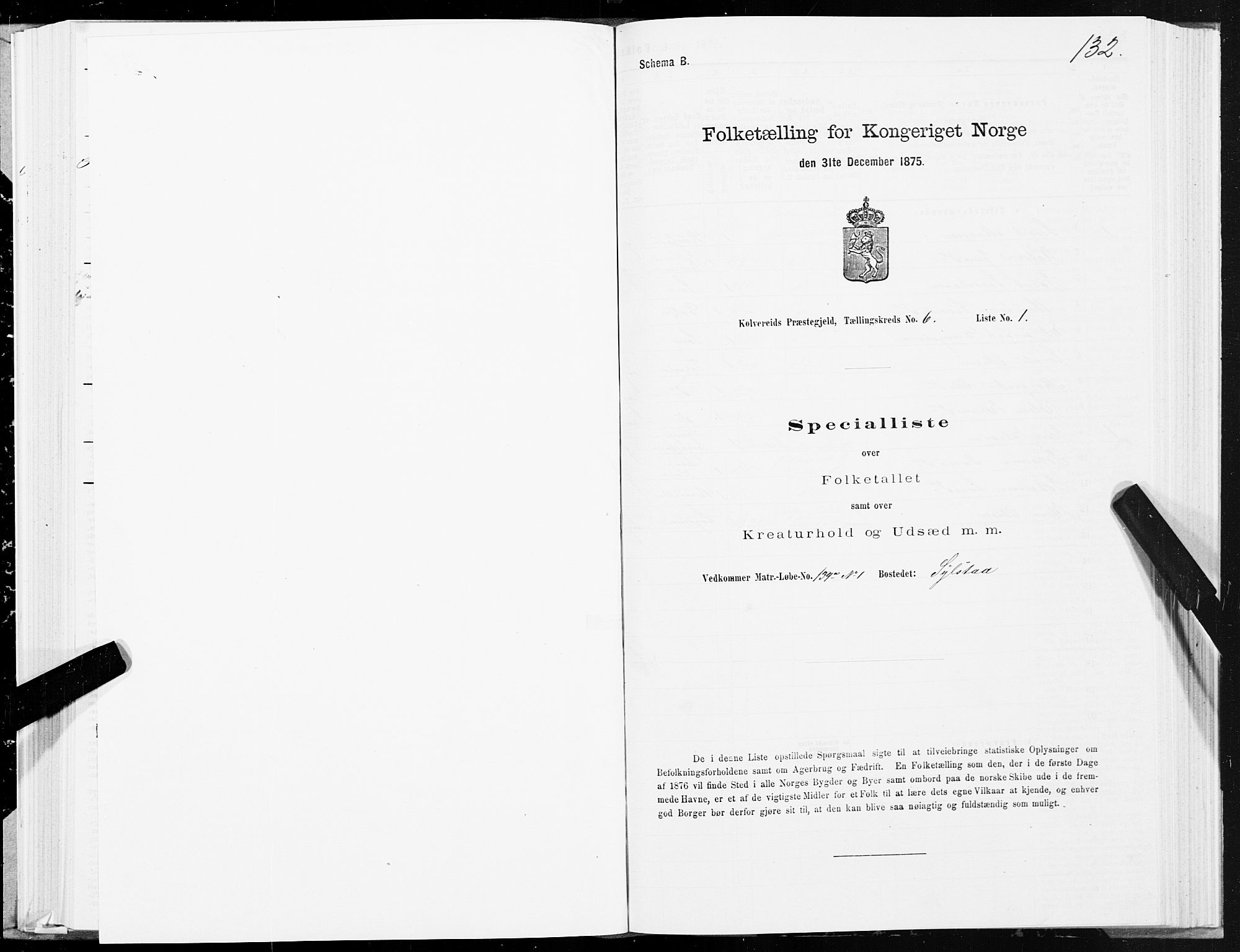 SAT, 1875 census for 1752P Kolvereid, 1875, p. 3132