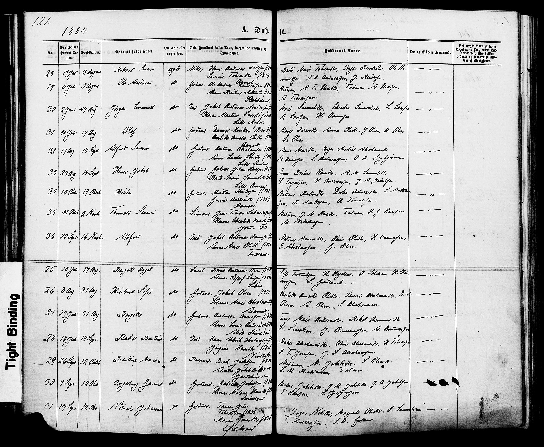 Kvinesdal sokneprestkontor, AV/SAK-1111-0026/F/Fa/Fab/L0007: Parish register (official) no. A 7, 1870-1885, p. 121