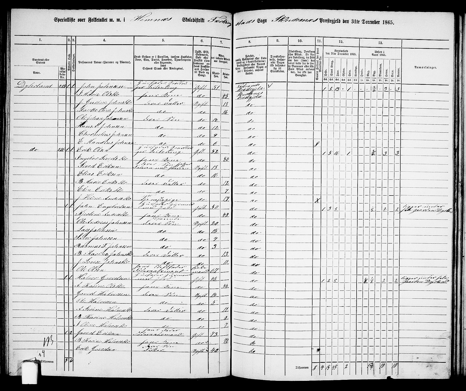 RA, 1865 census for Skudenes, 1865, p. 119