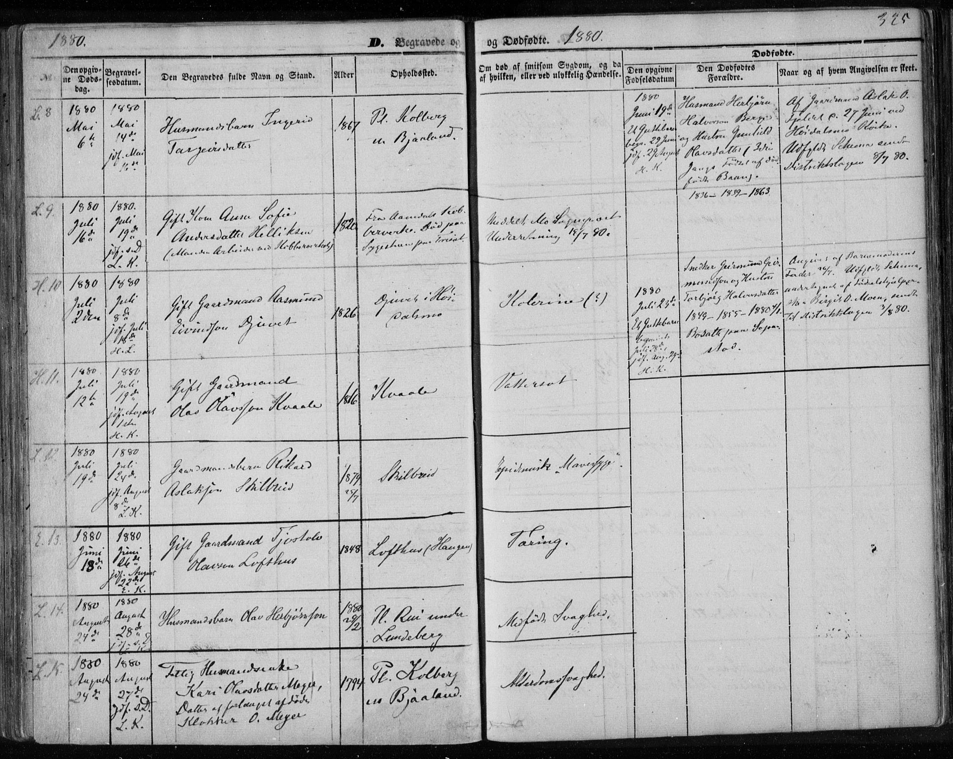 Lårdal kirkebøker, SAKO/A-284/F/Fa/L0006: Parish register (official) no. I 6, 1861-1886, p. 325